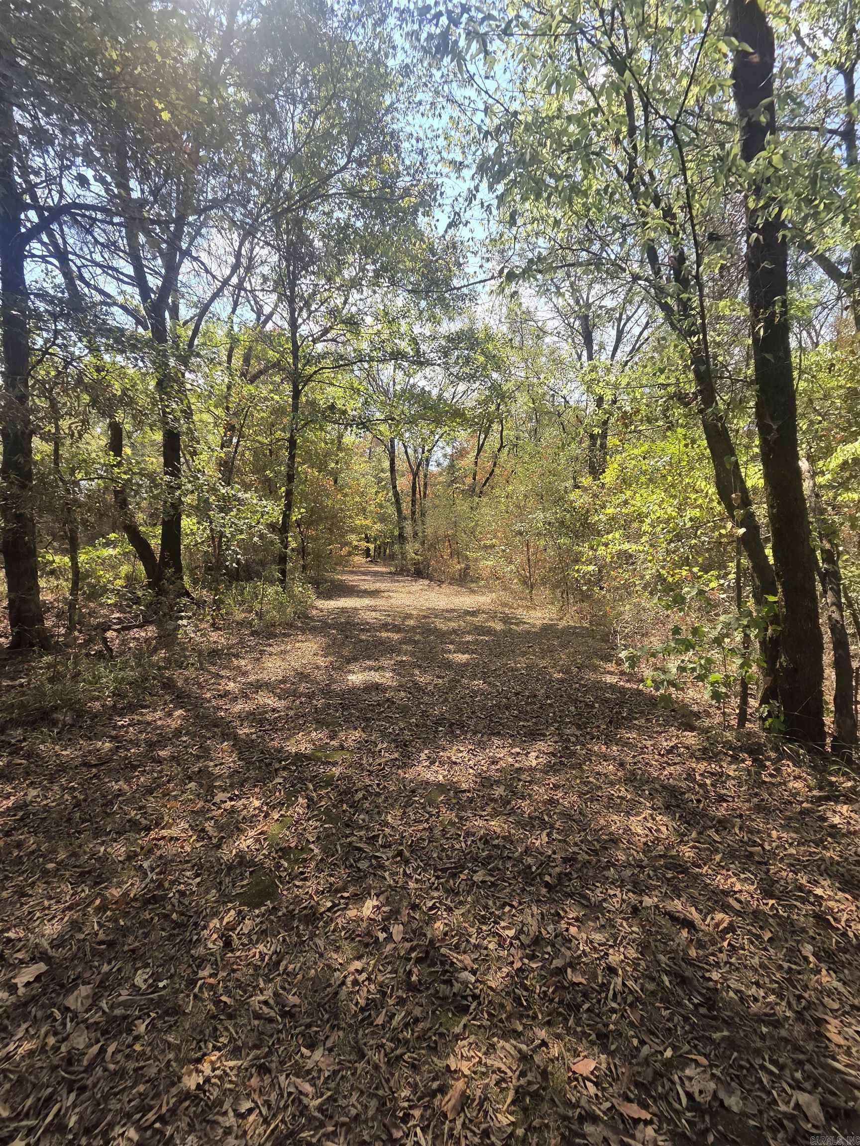 4675 Dooley Road  Boles, AR