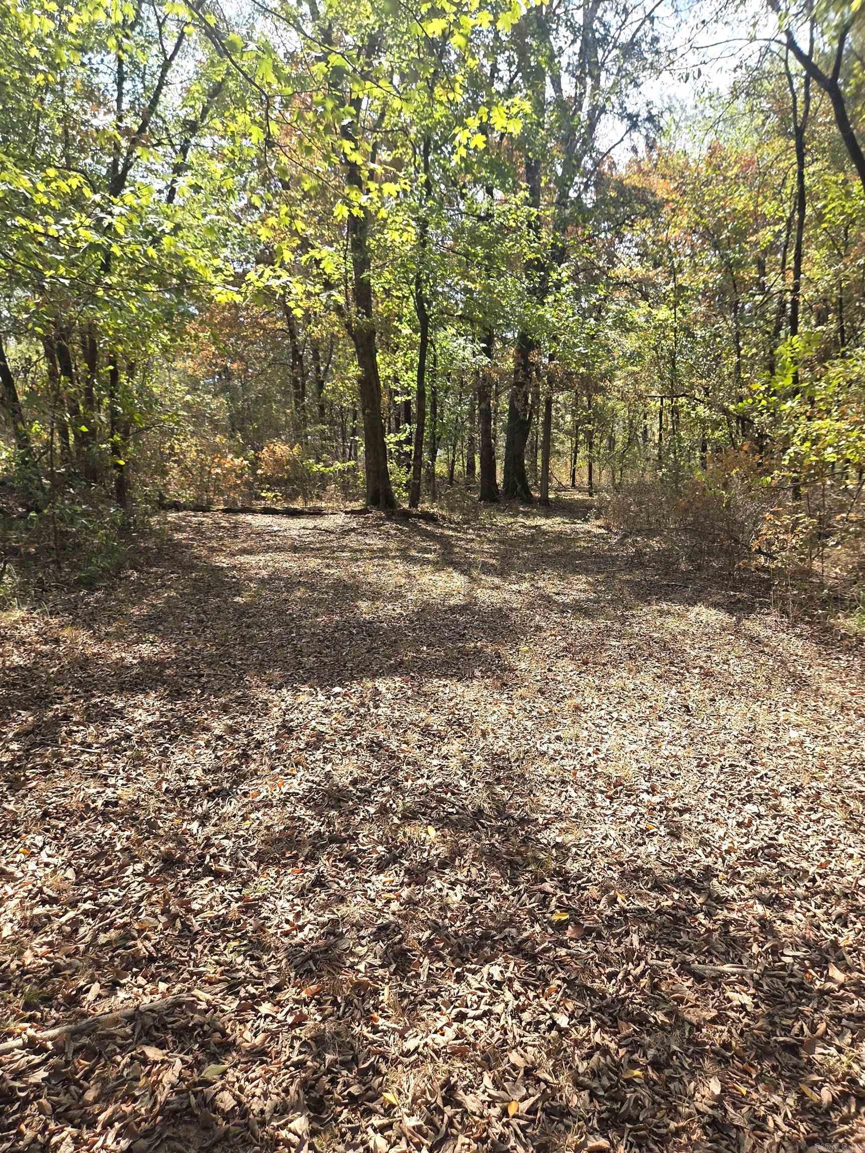 4675 Dooley Road  Boles, AR