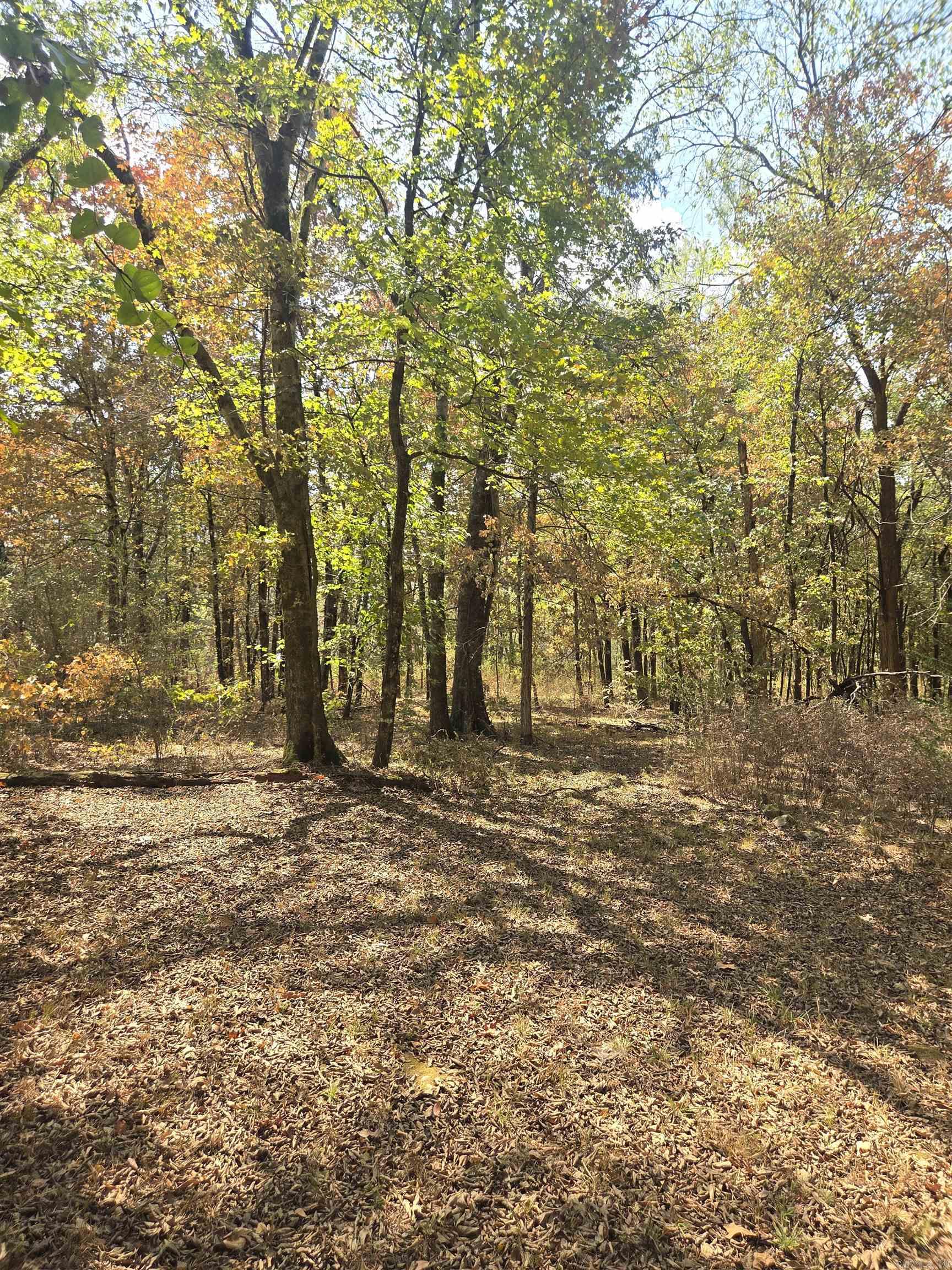 4675 Dooley Road  Boles, AR