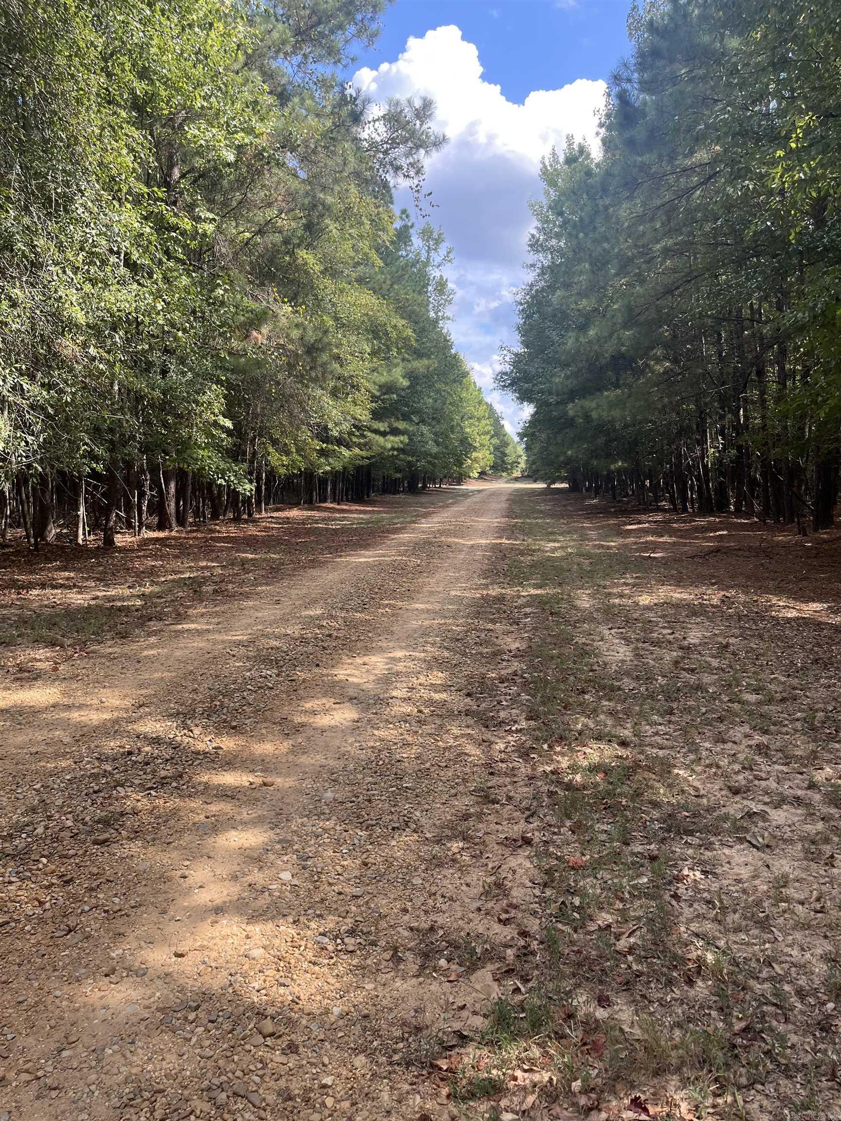 168 Fennell  El Dorado, AR