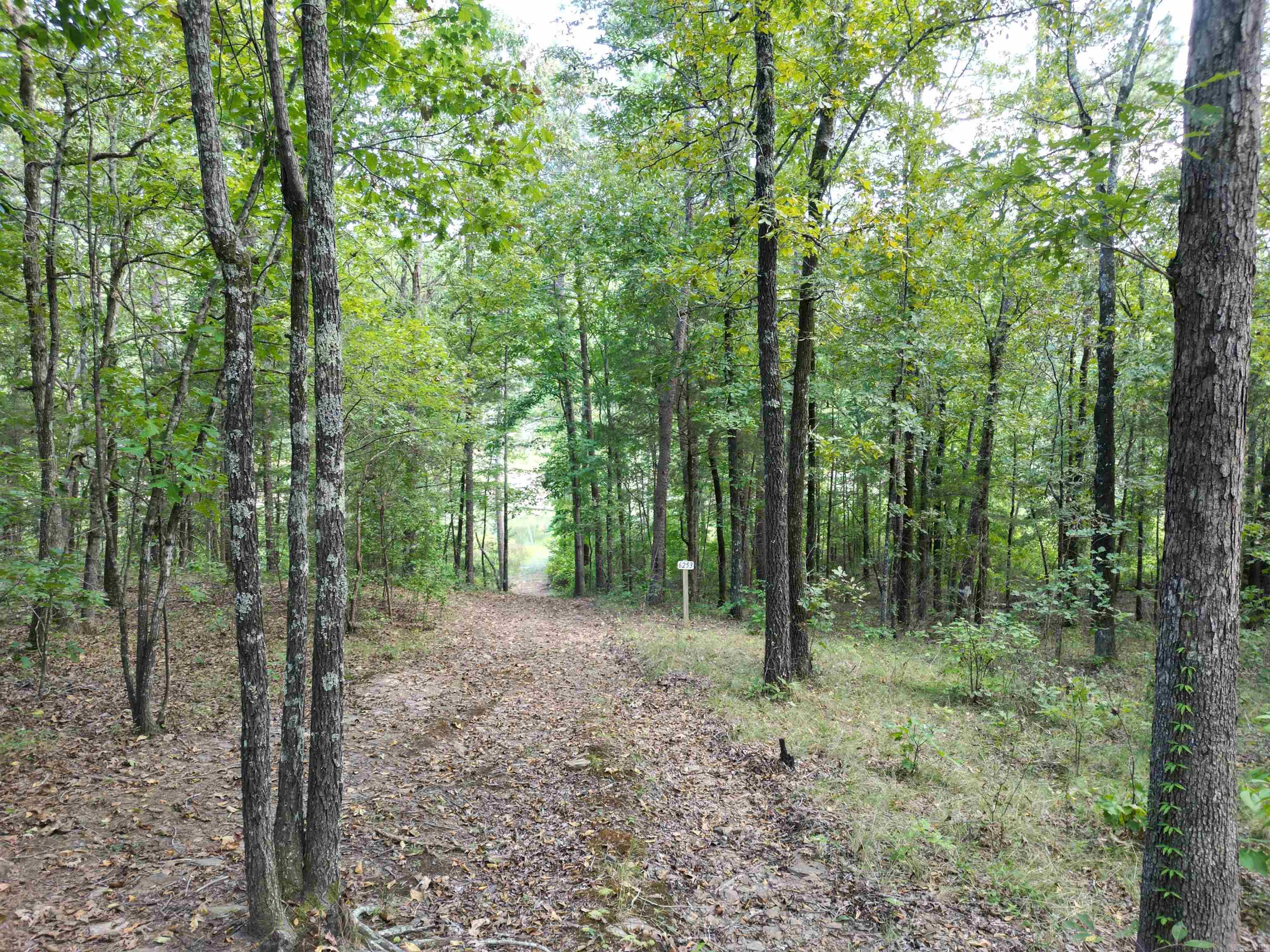 815 Mullens Estates  Drasco, AR