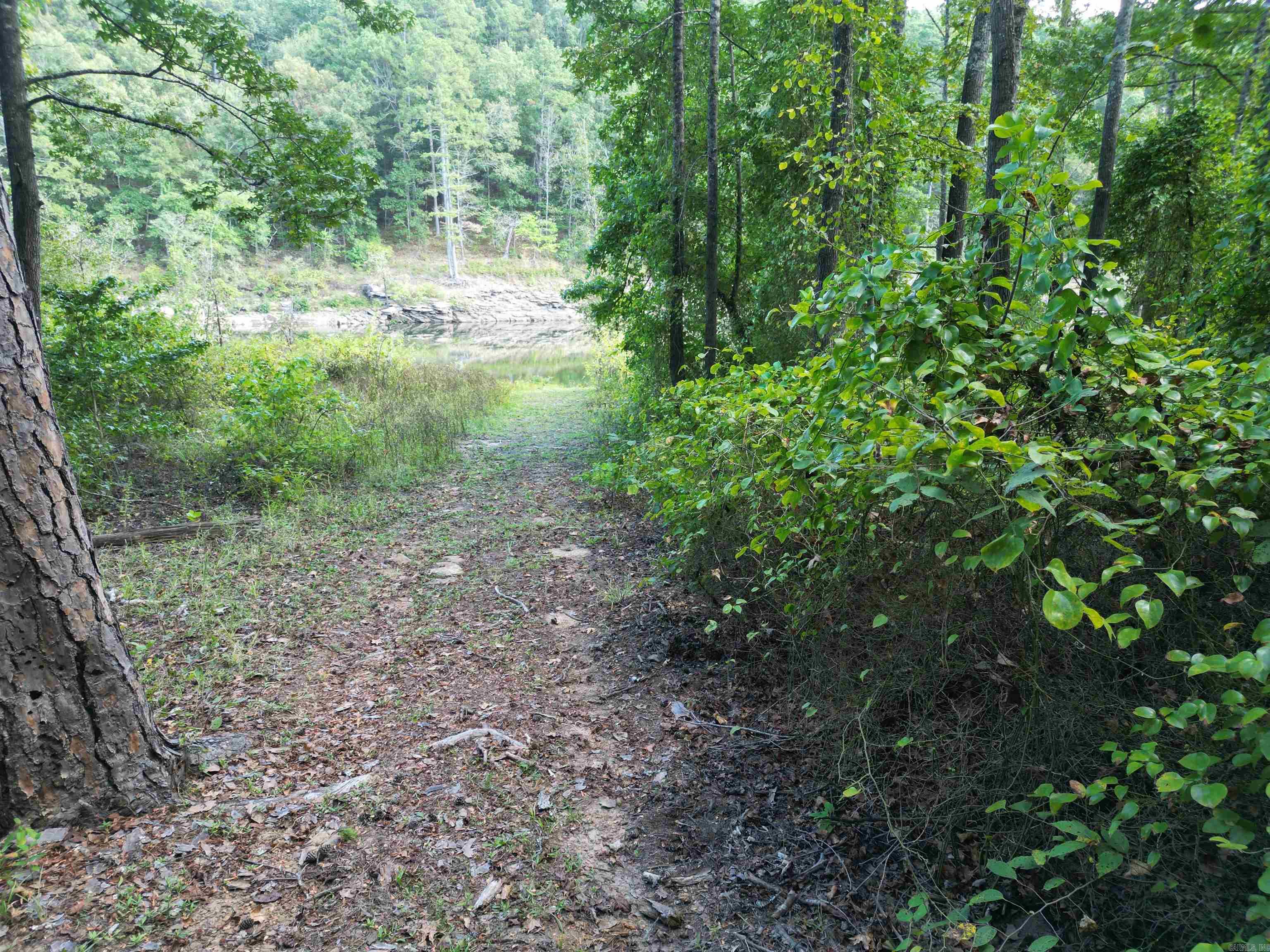 815 Mullens Estates  Drasco, AR