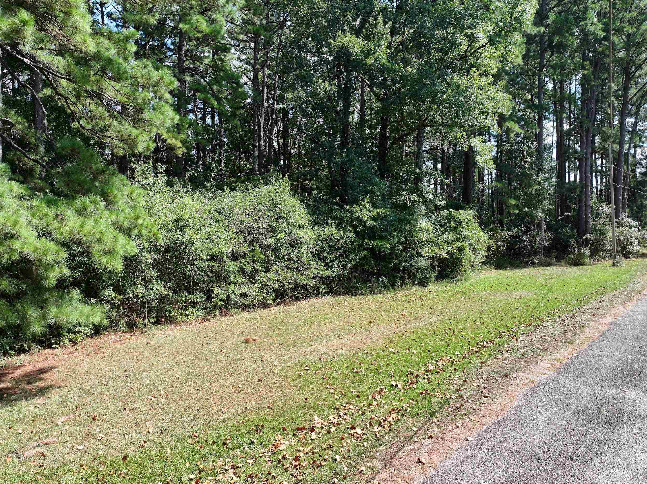 Dooley Drive — photo 2