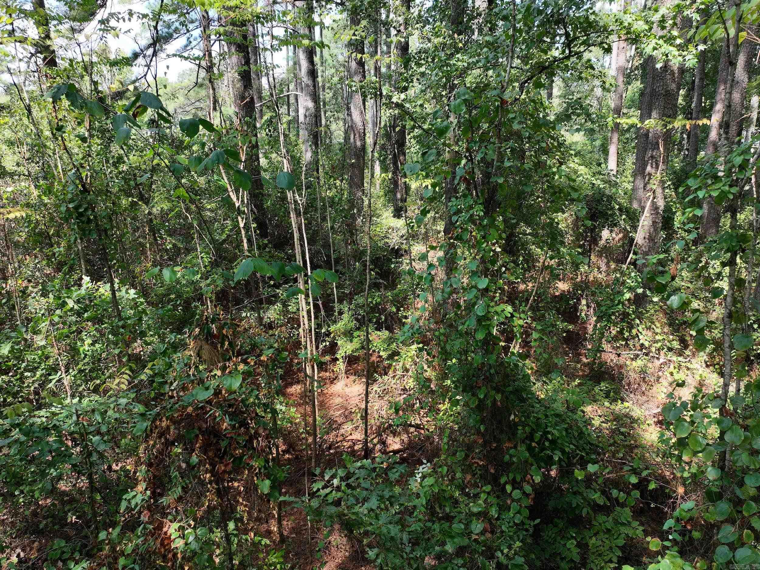 Dooley Drive — photo 3