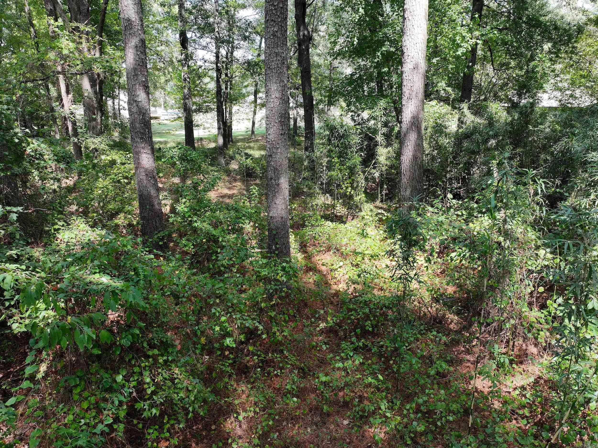 Dooley Drive — photo 4