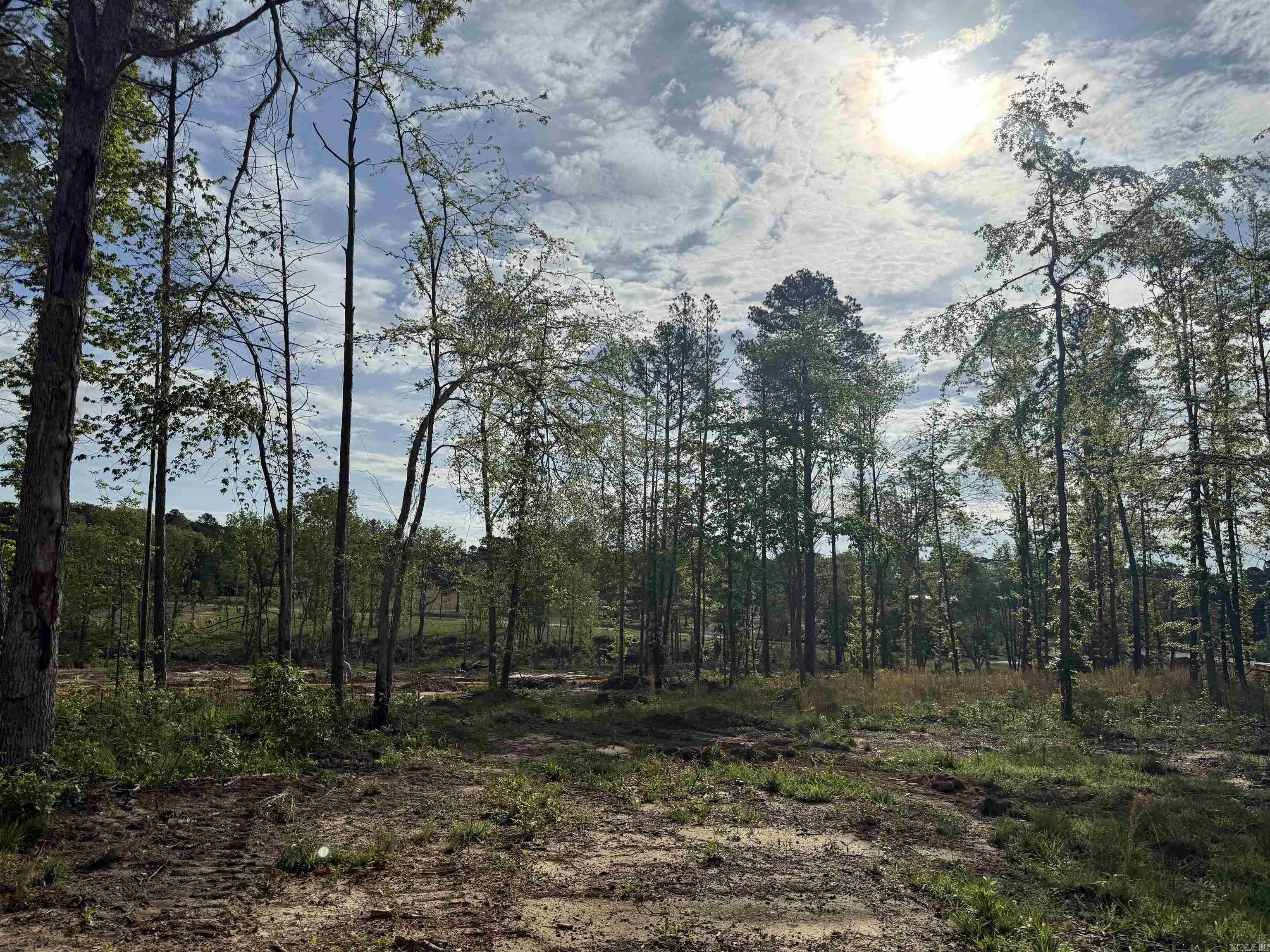 Little Rock Road — photo 2