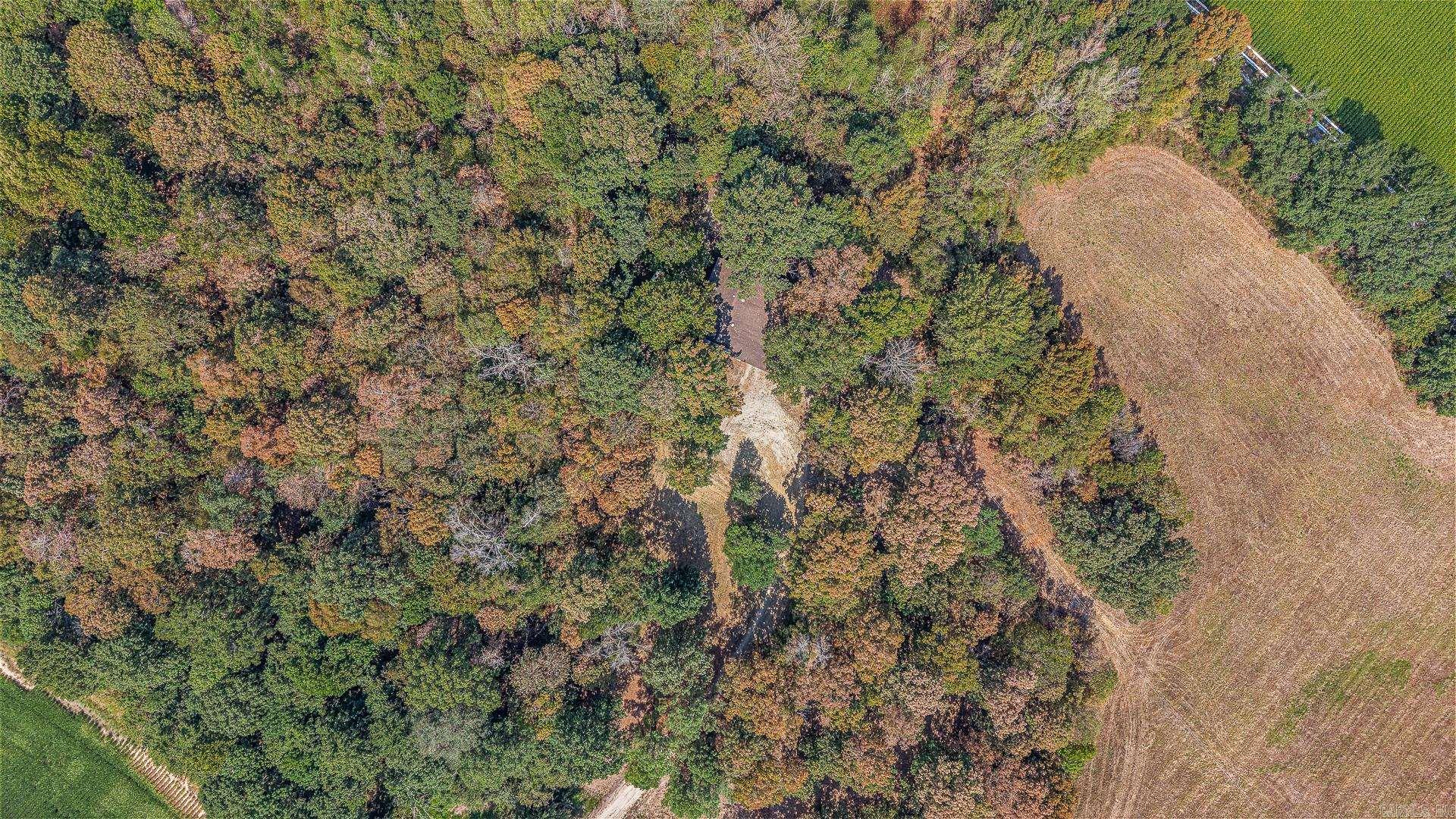 2 Clay 186 Road  Corning, AR
