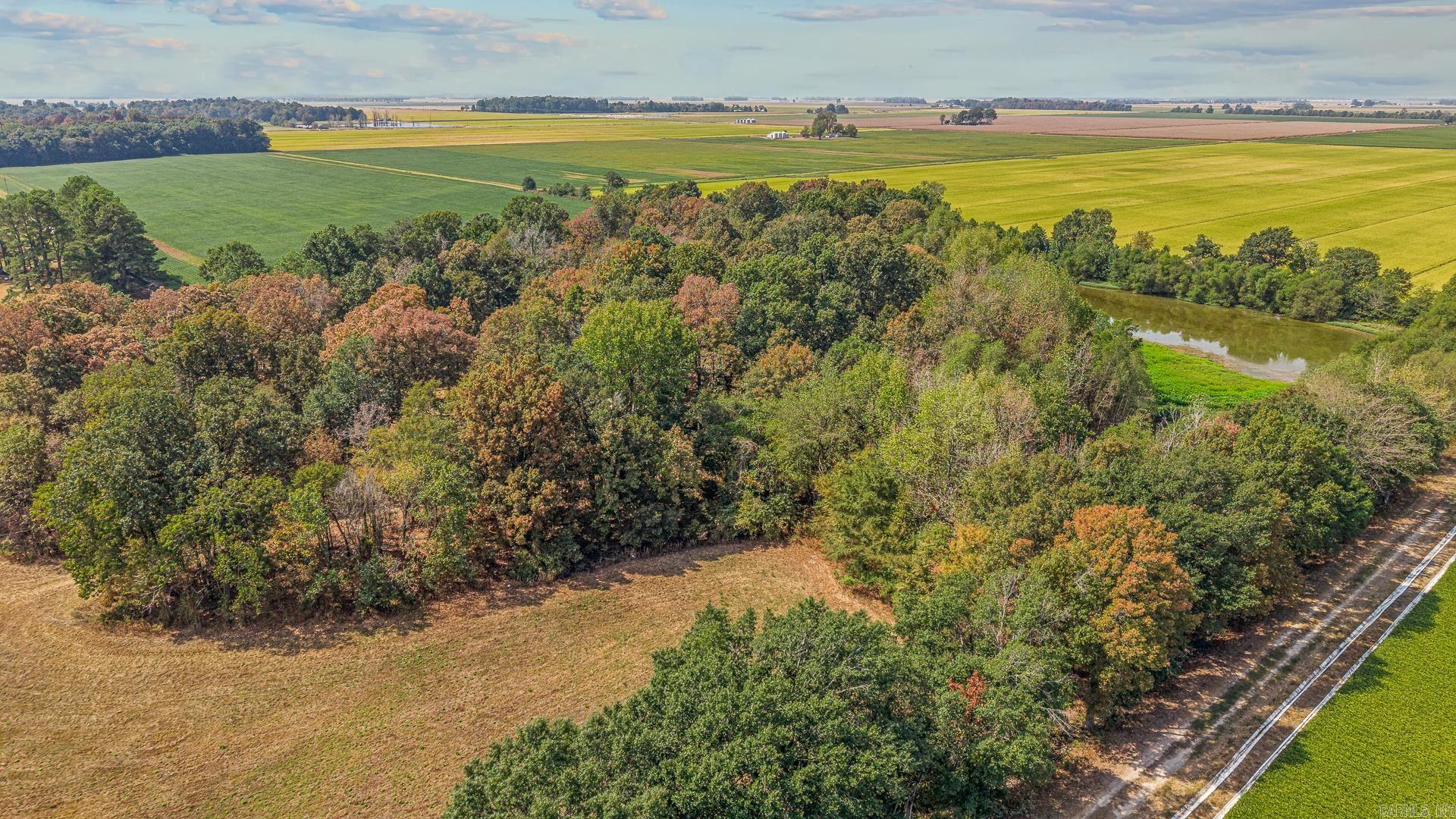 2 Clay 186 Road  Corning, AR