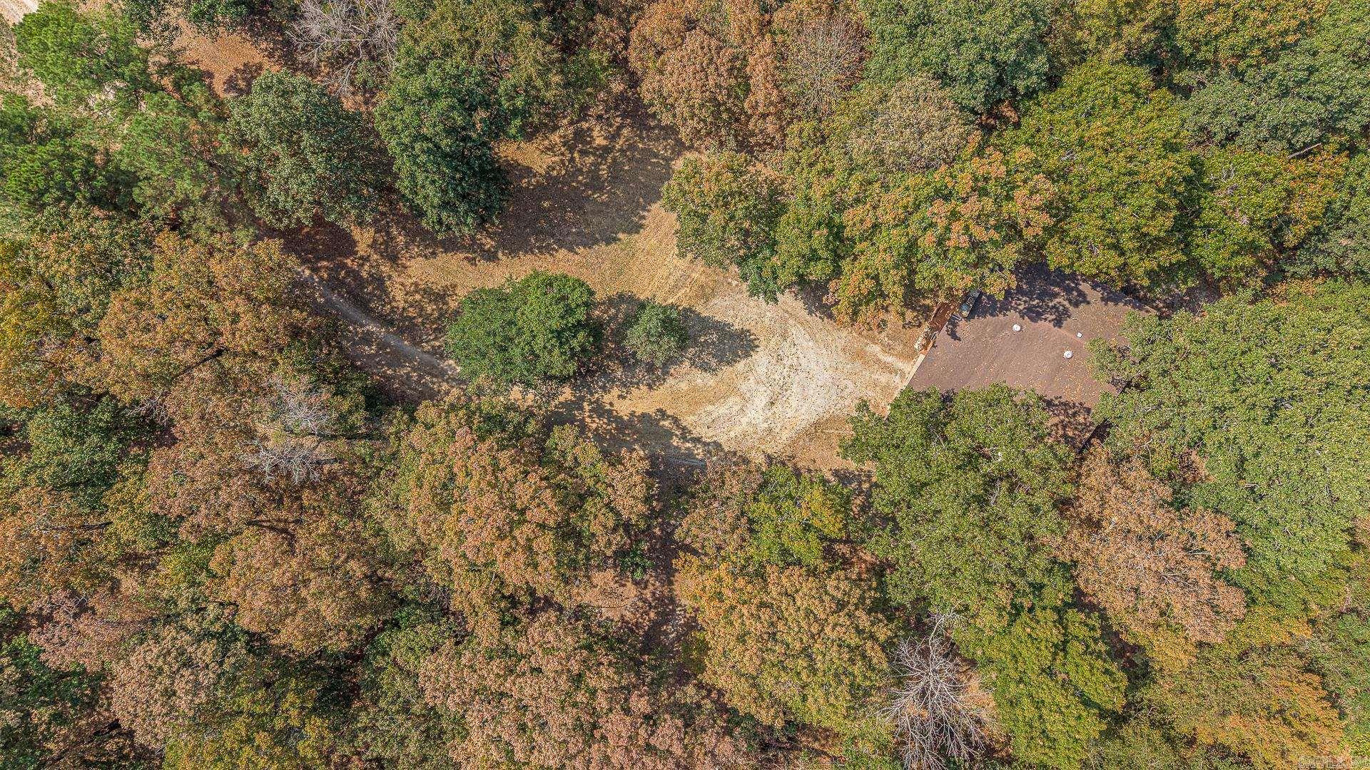 2 Clay 186 Road  Corning, AR