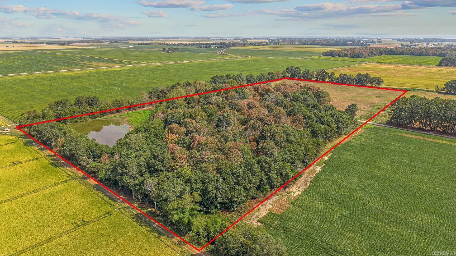 2 Clay 186 Road  Corning, AR