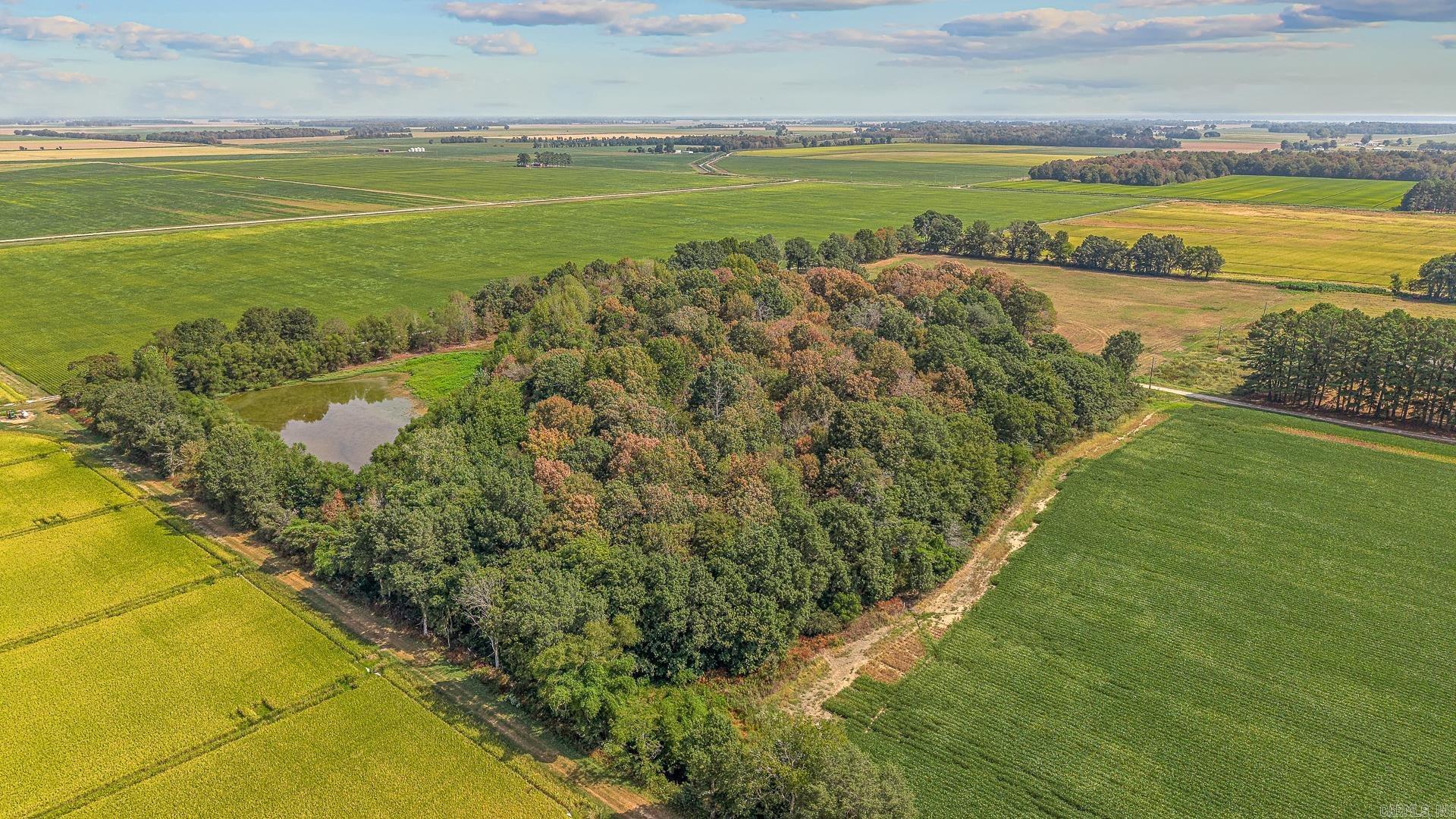 2 Clay 186 Road  Corning, AR