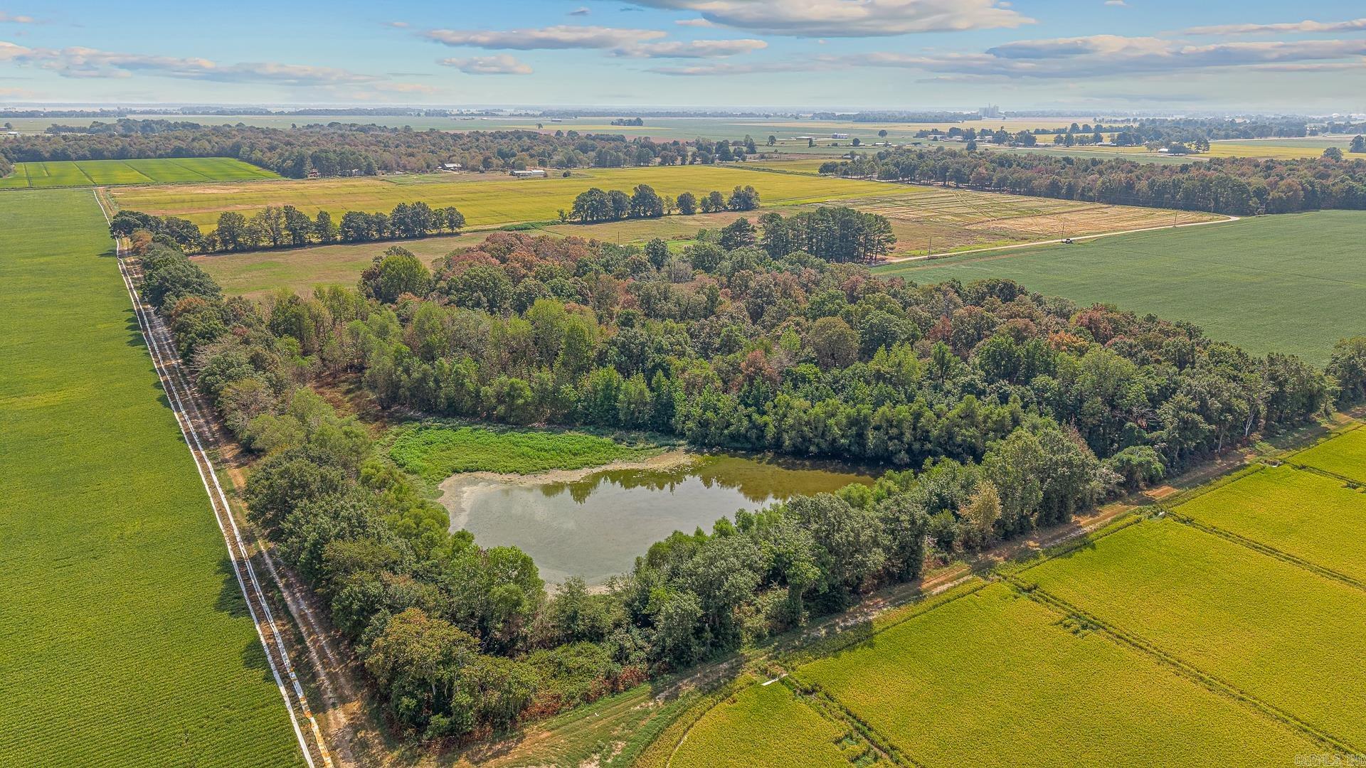 2 Clay 186 Road  Corning, AR