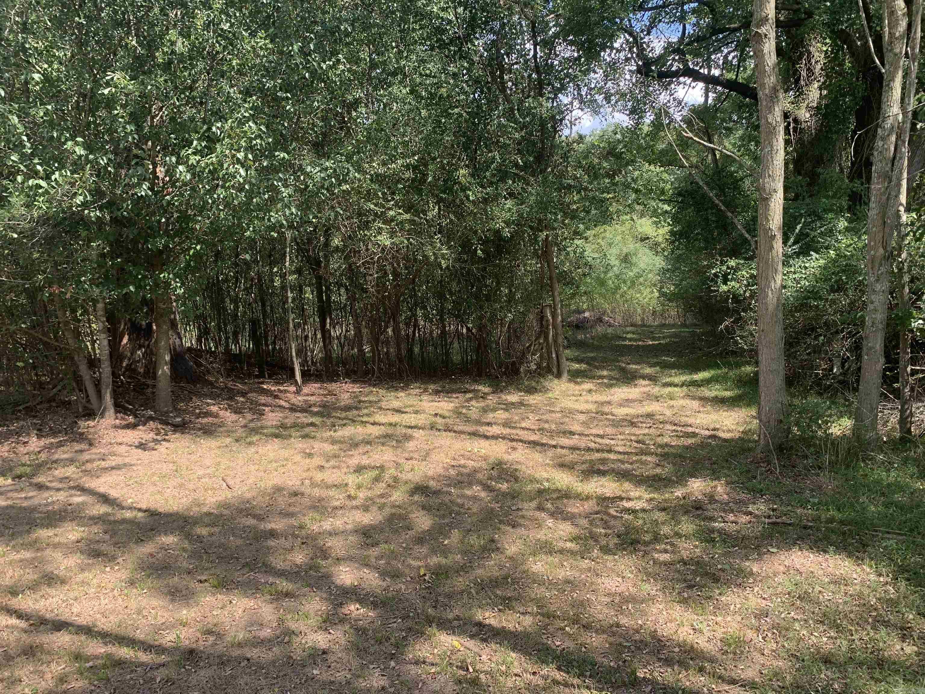 1005 S Bradley  Warren, AR