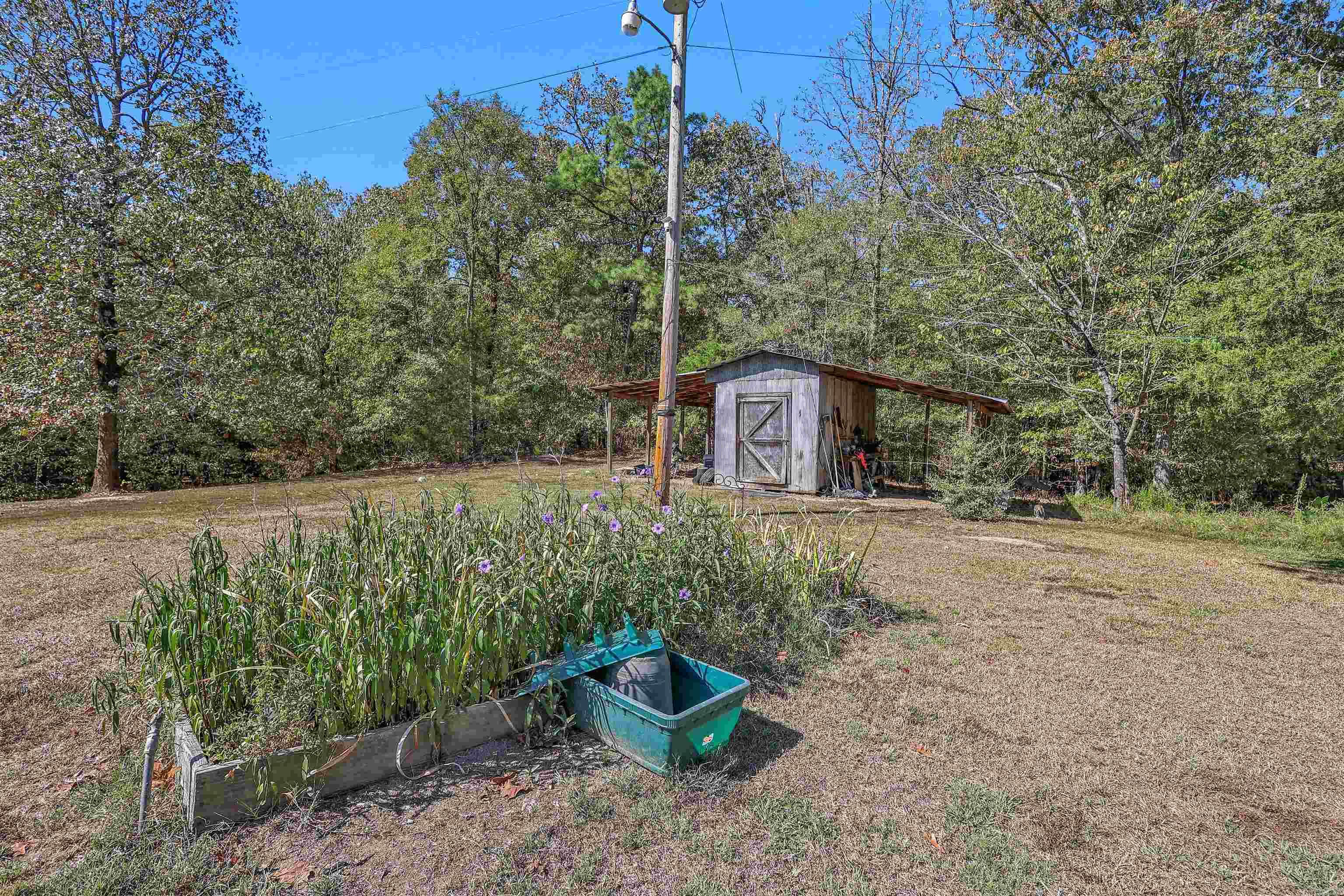 84 Romaine  Glenwood, AR