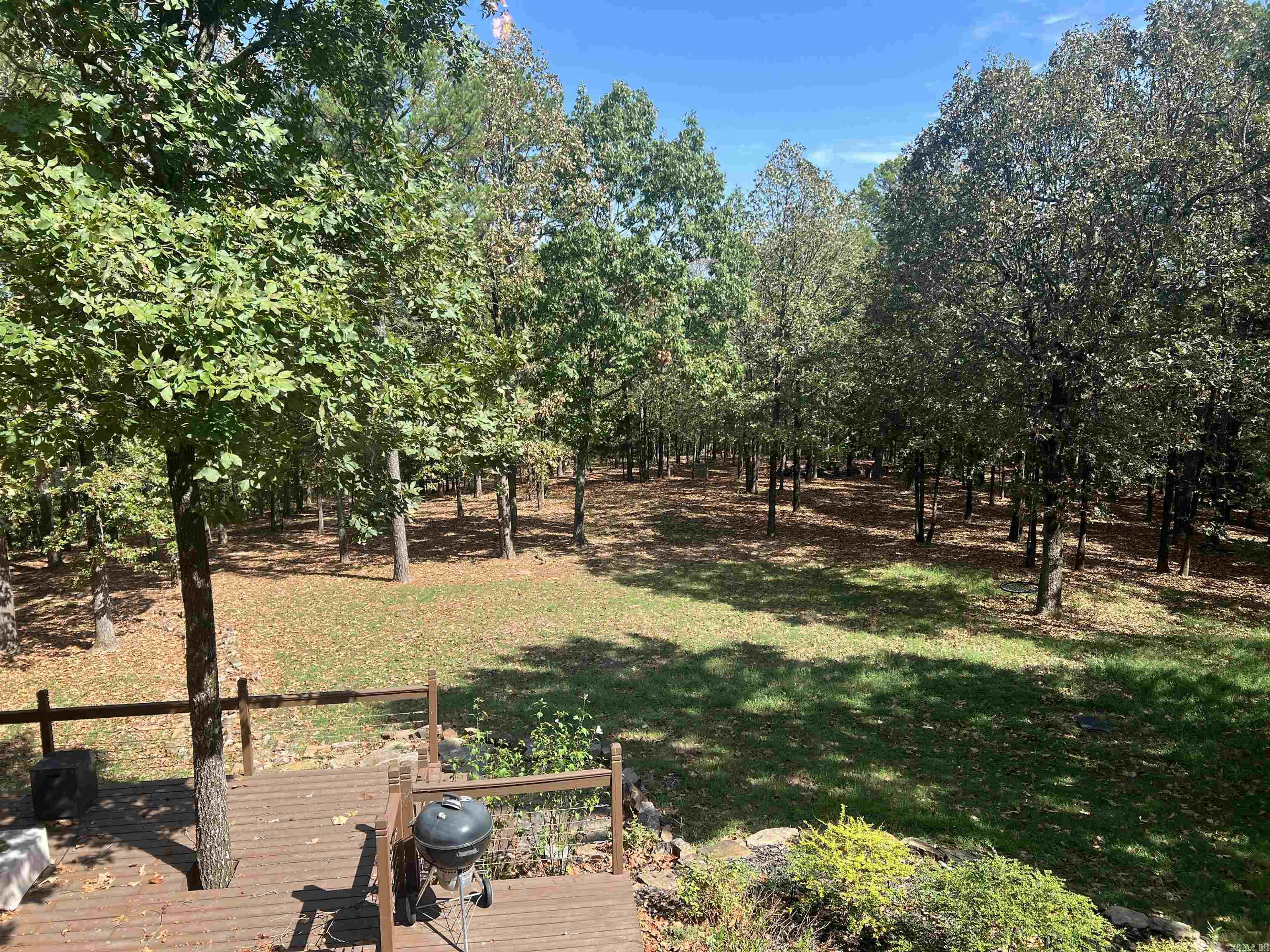 2730 Collins Conway, AR 72034