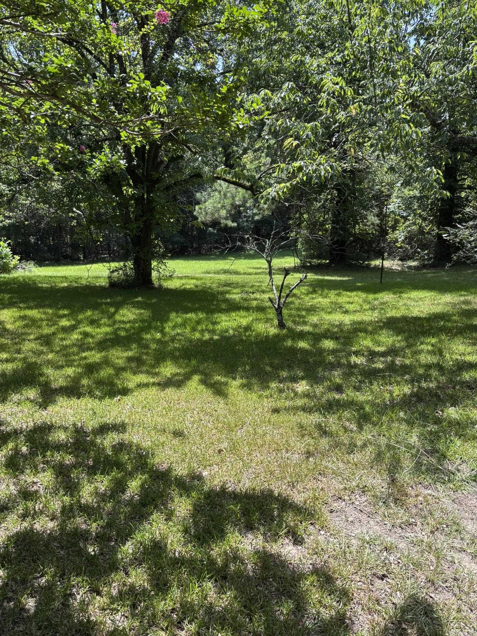 4417 S Camden  Pine Bluff, AR
