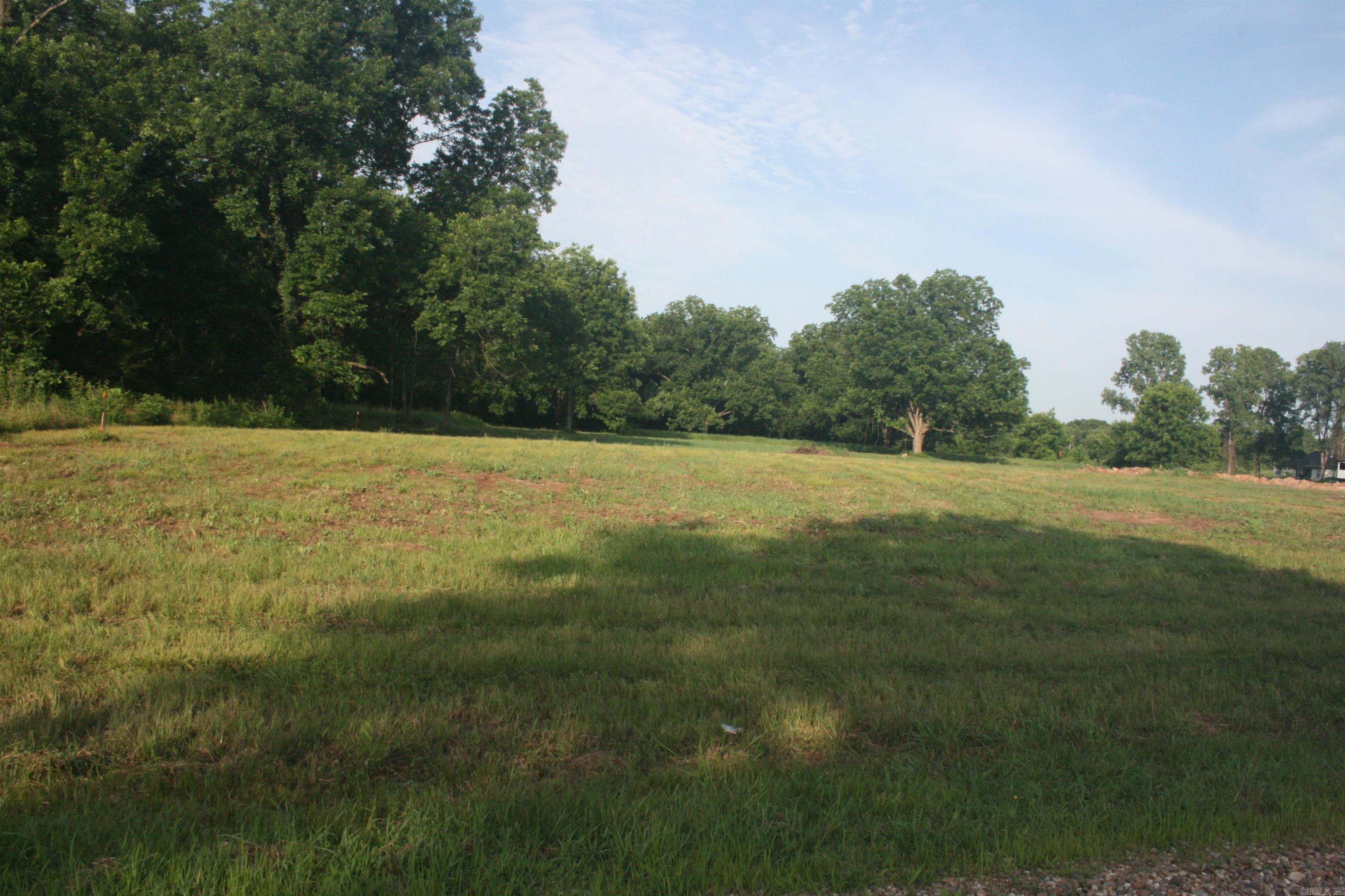 8901 Plantation Point — photo 5