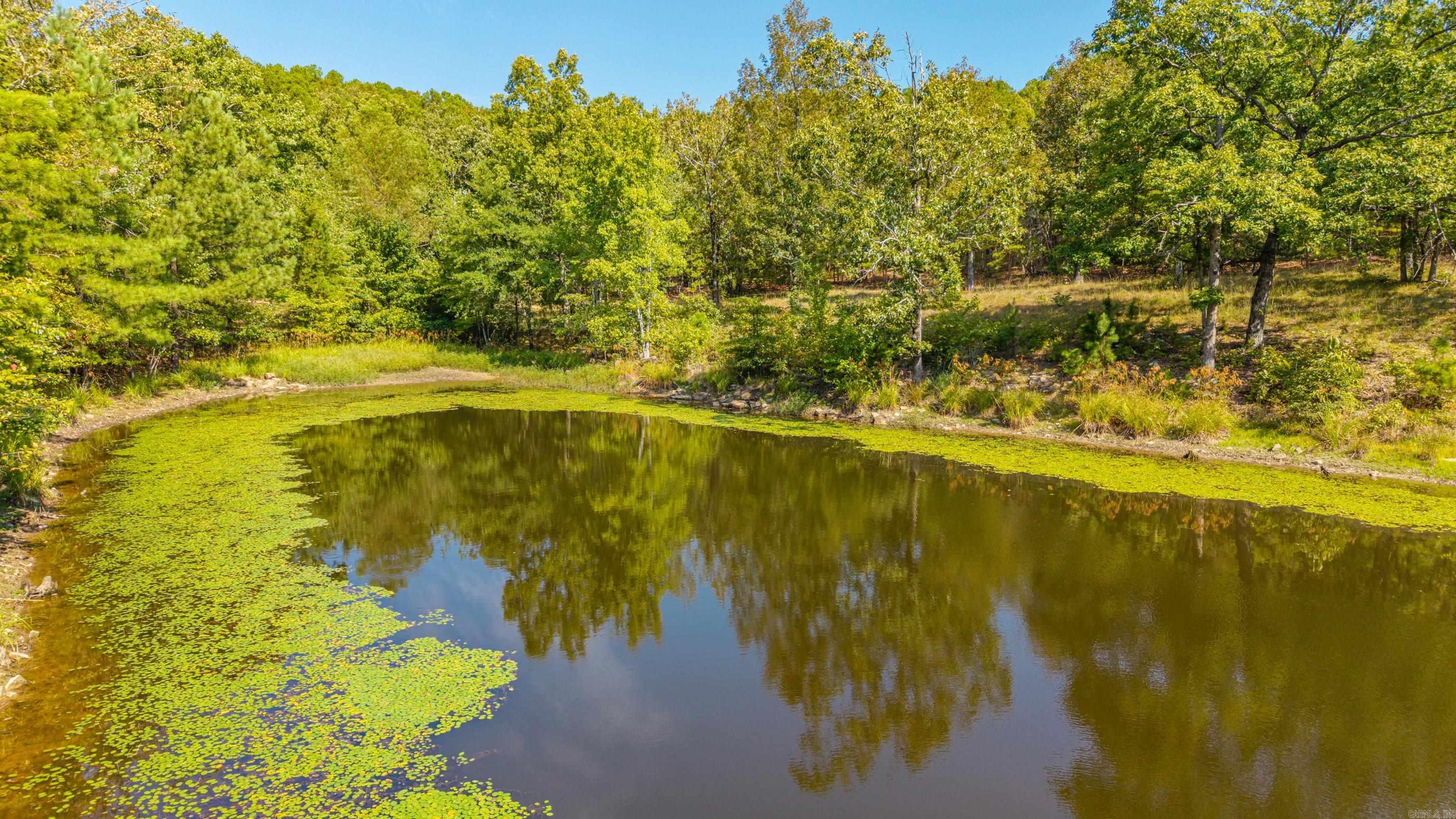 42200 Torrington Drive Bigelow, AR 72016