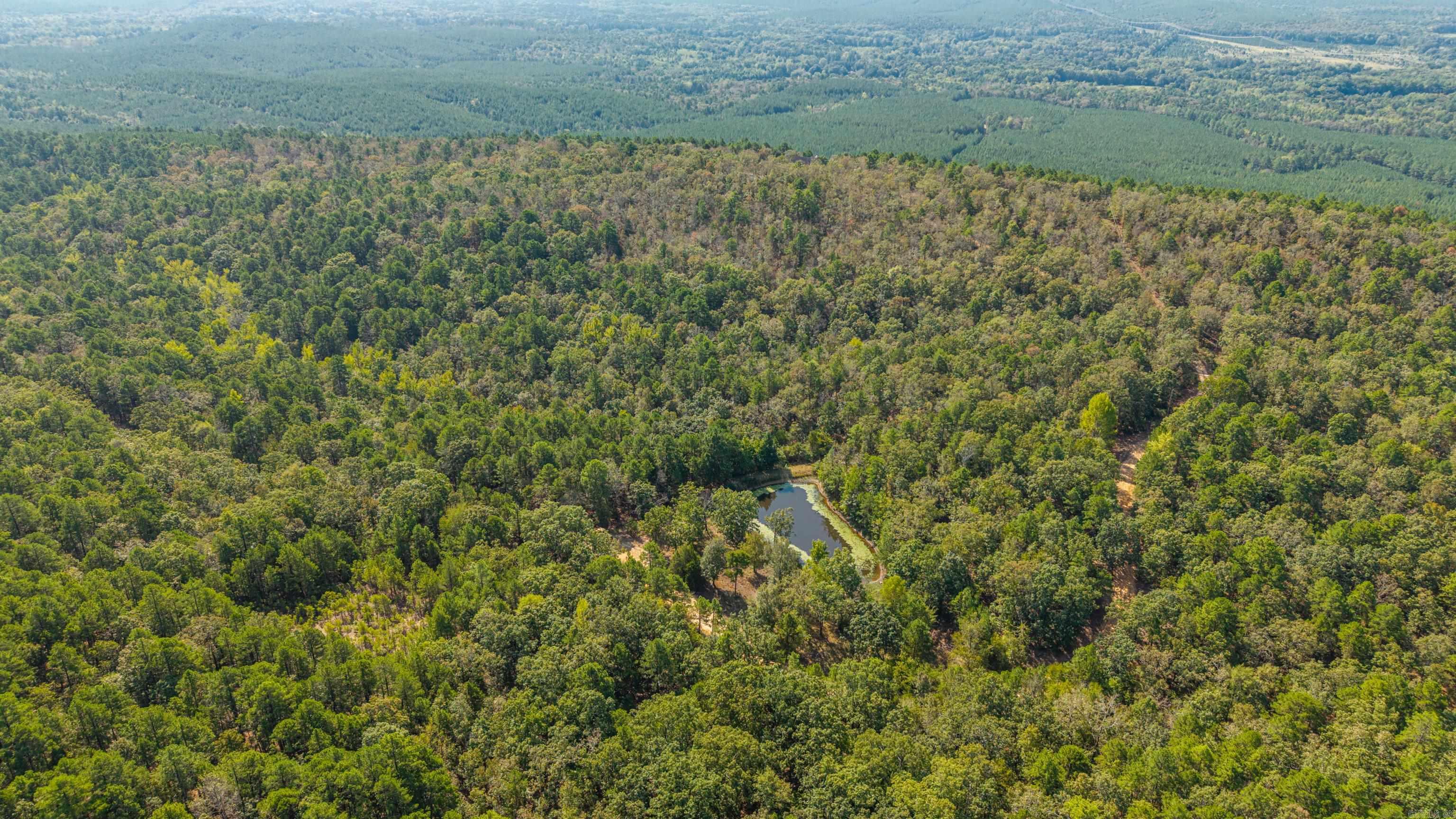 42200 Torrington Drive Bigelow, AR 72016