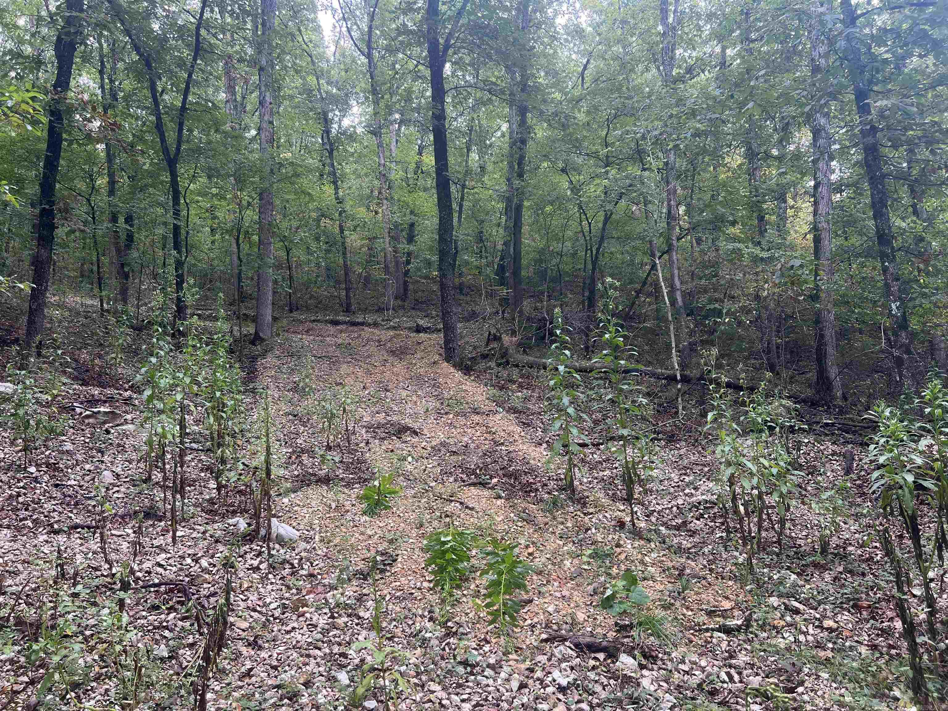 4210 Red Bluff Rd.  Marshall, AR