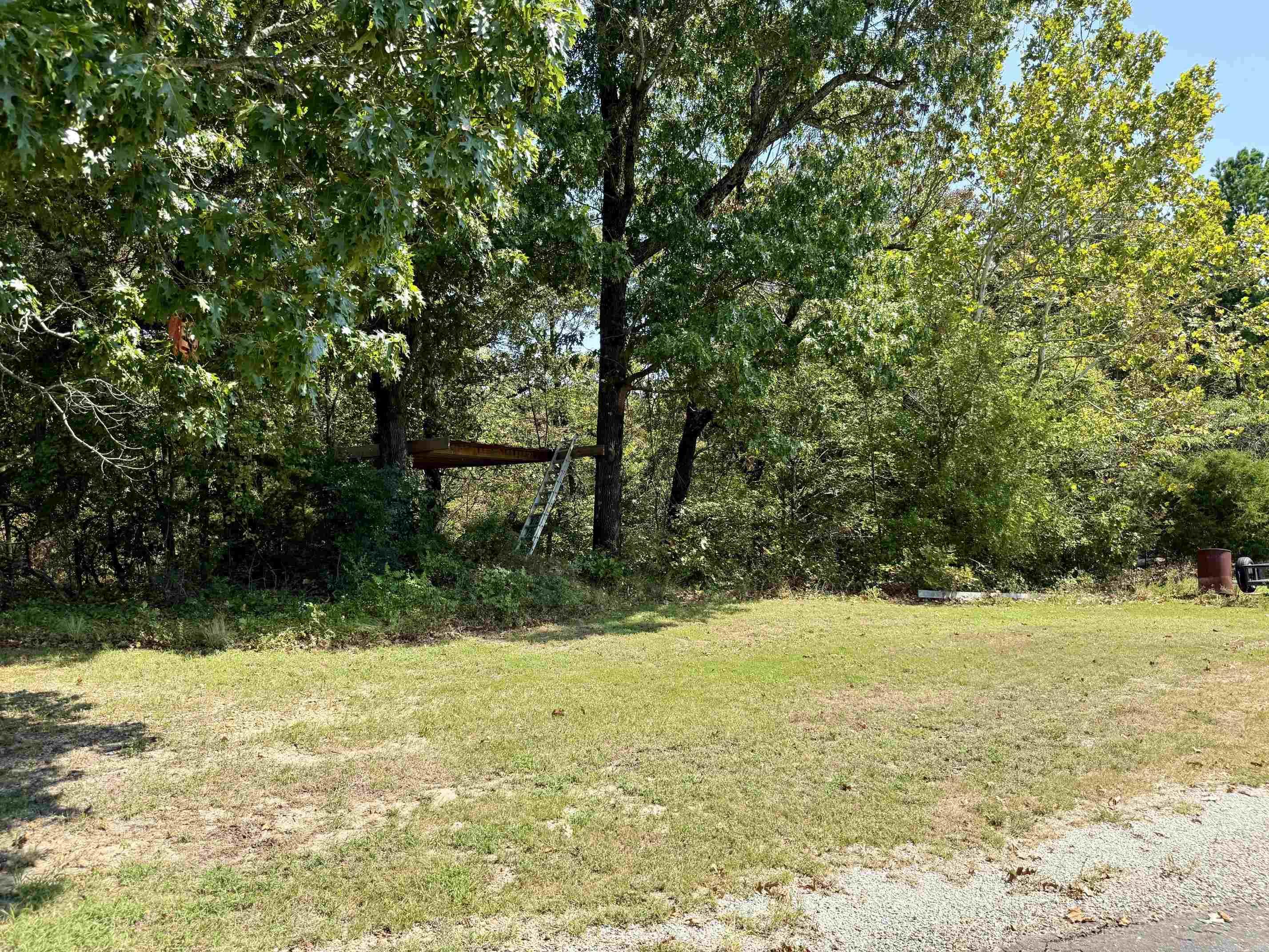 235 N Hwy. 168 Paragould, AR 72450