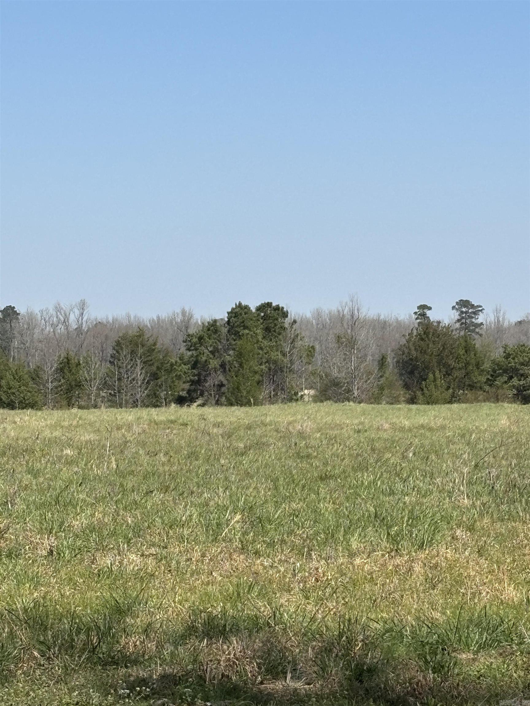 Clear Creek Rd — photo 3