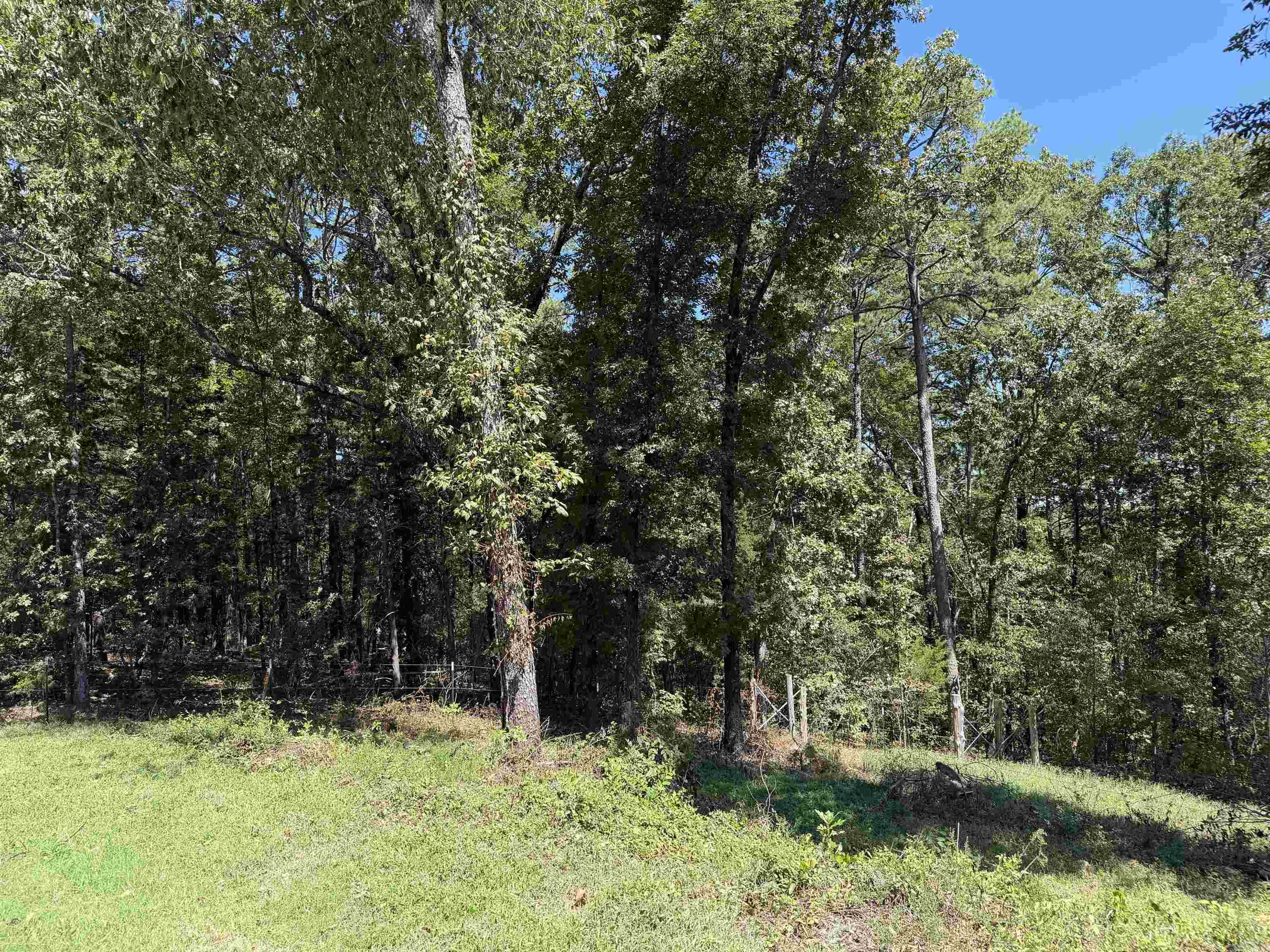 2195 Hwy 330 S  Shirley, AR