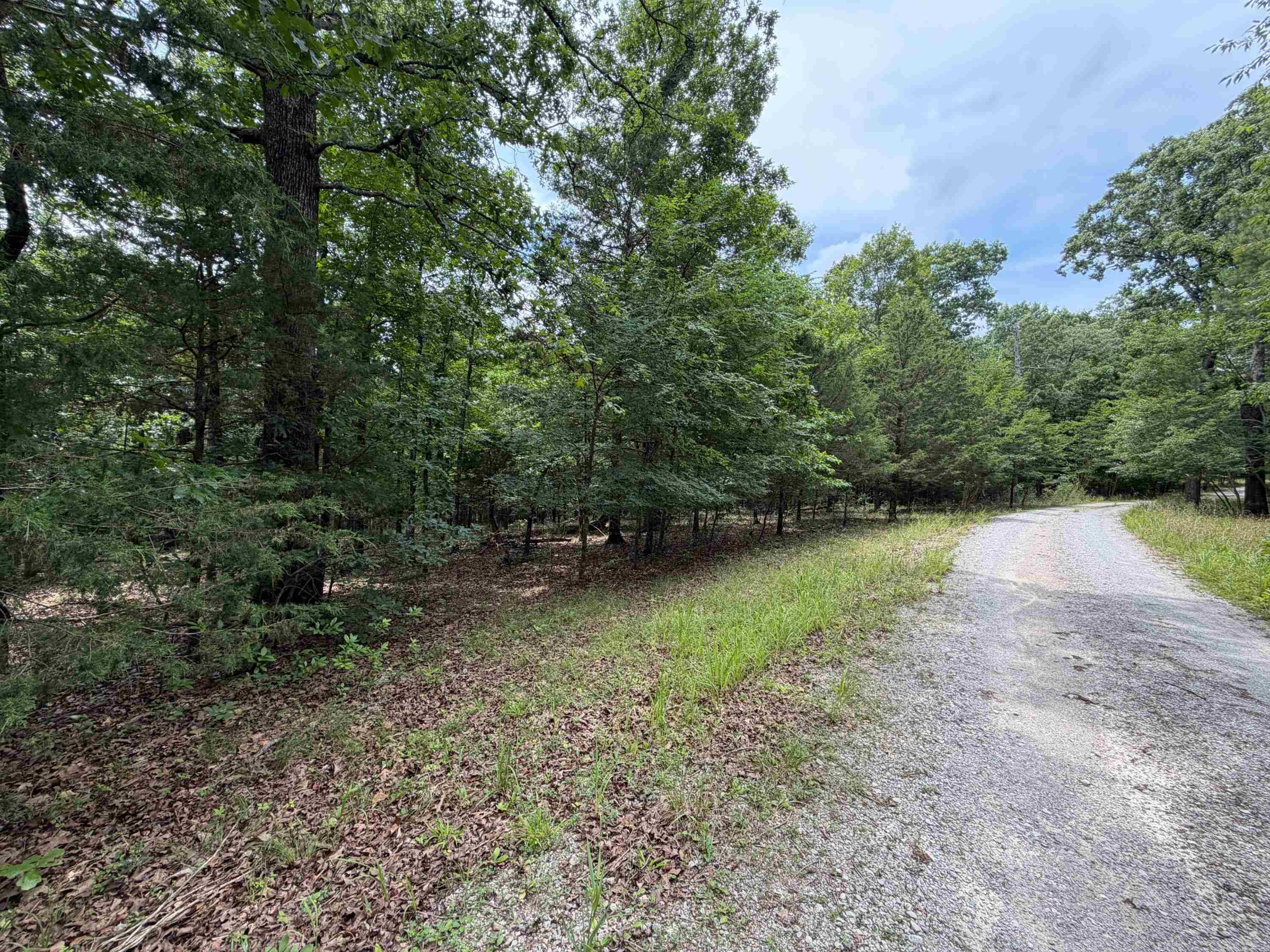 784 HWY 115 Cave City, AR 72521