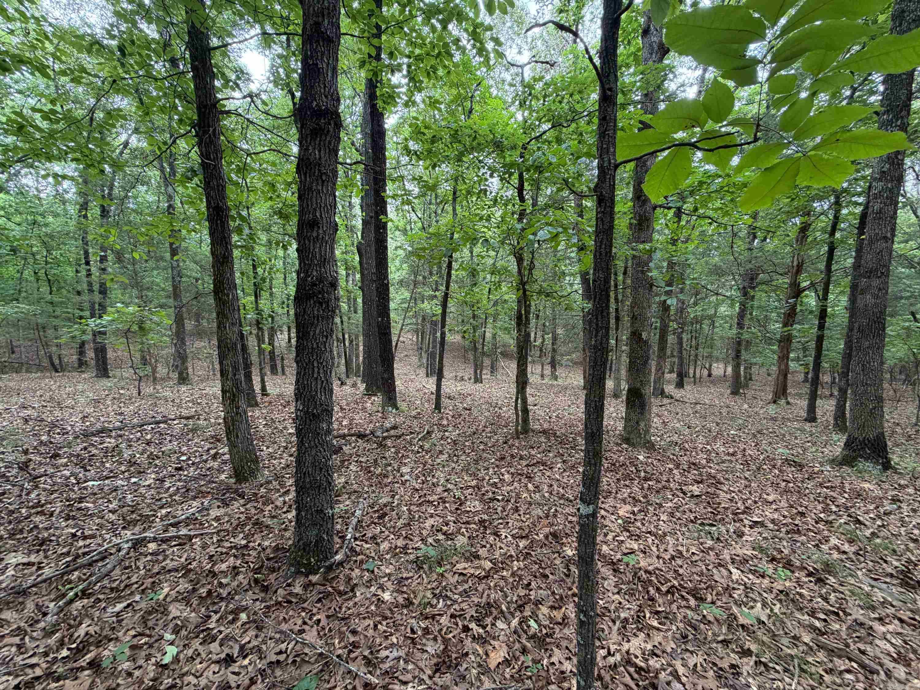 784 HWY 115 Cave City, AR 72521