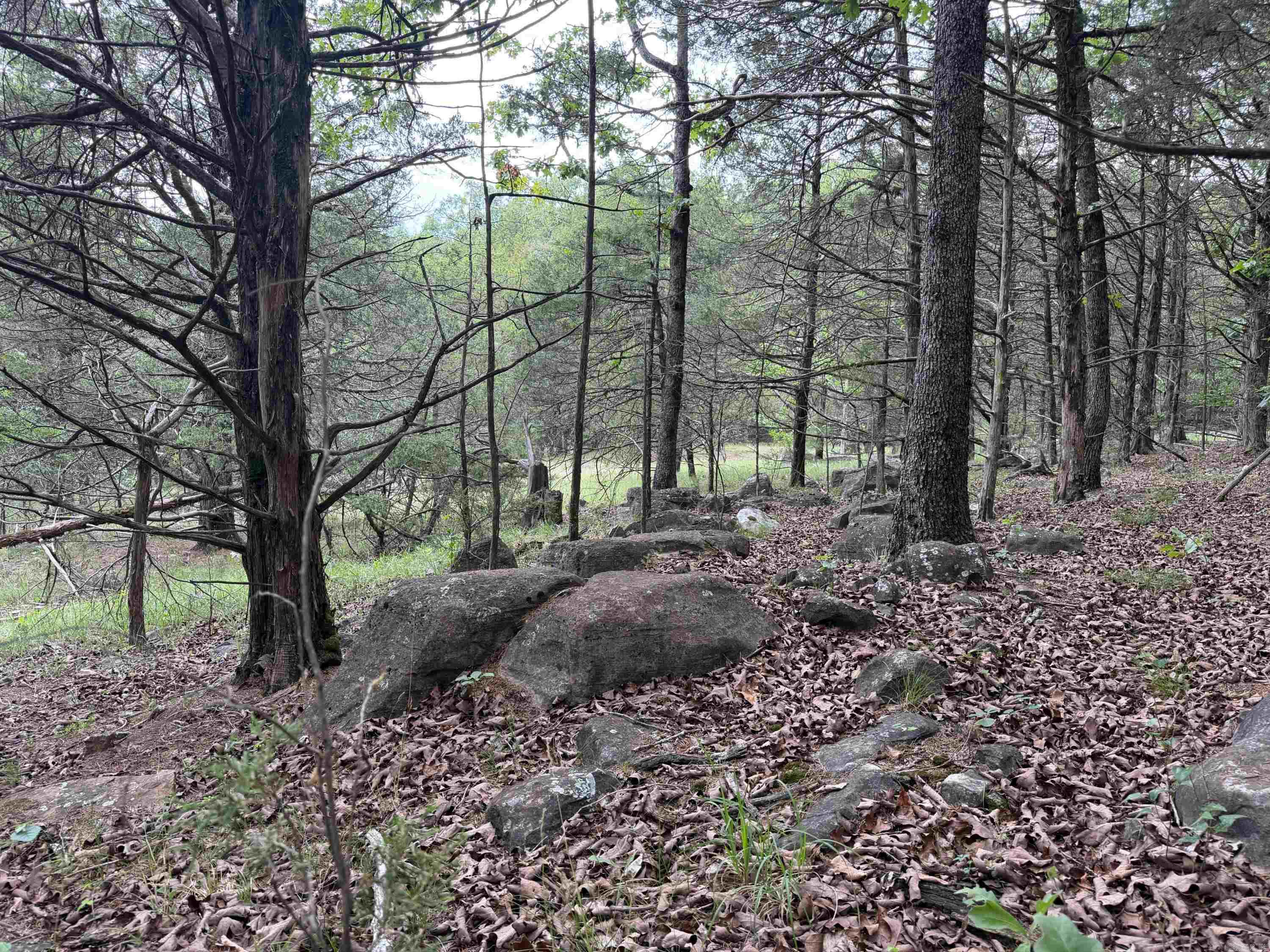 784 HWY 115 Cave City, AR 72521