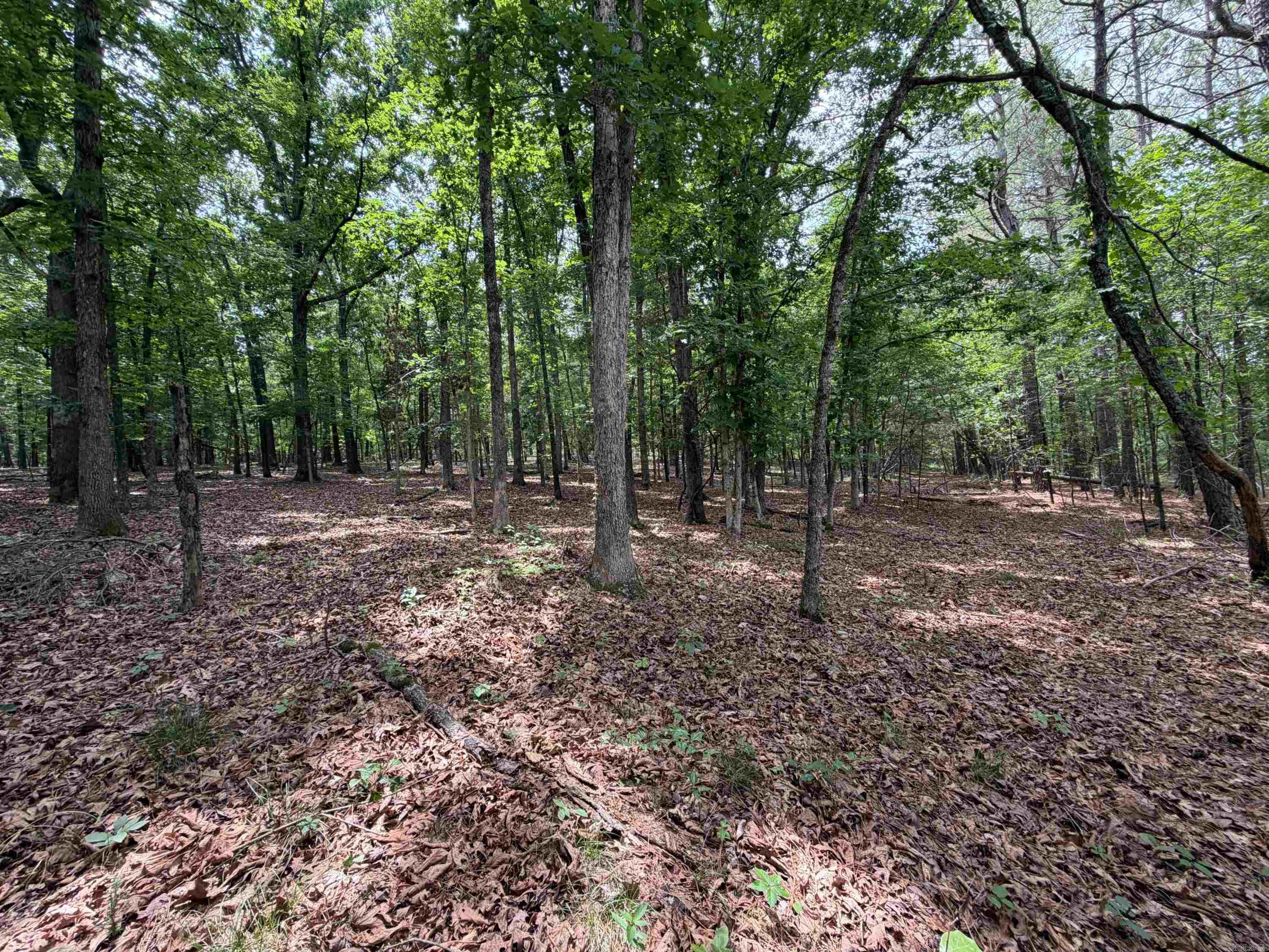 784 HWY 115 Cave City, AR 72521