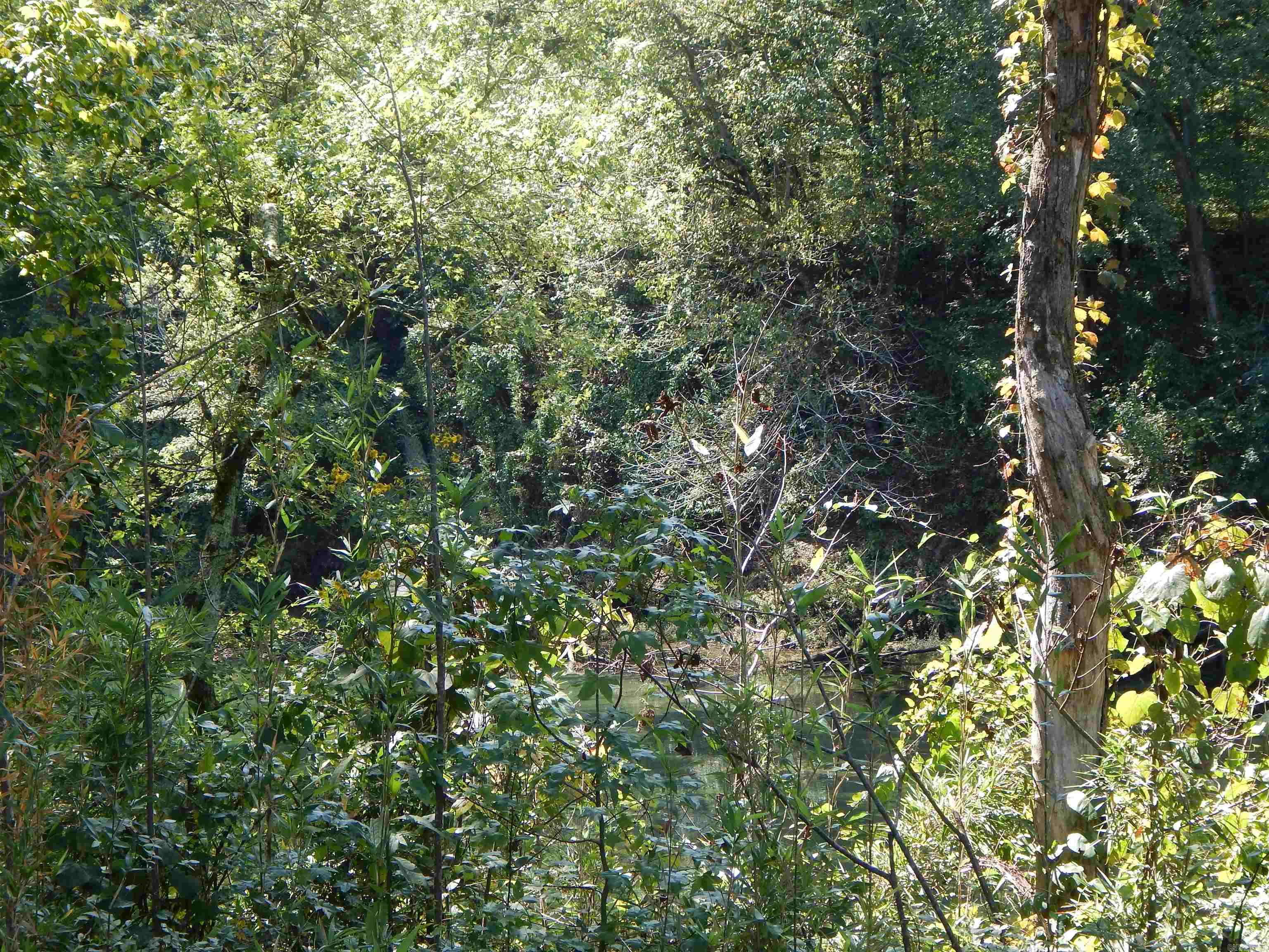 Lot 28 Cooterneck Road