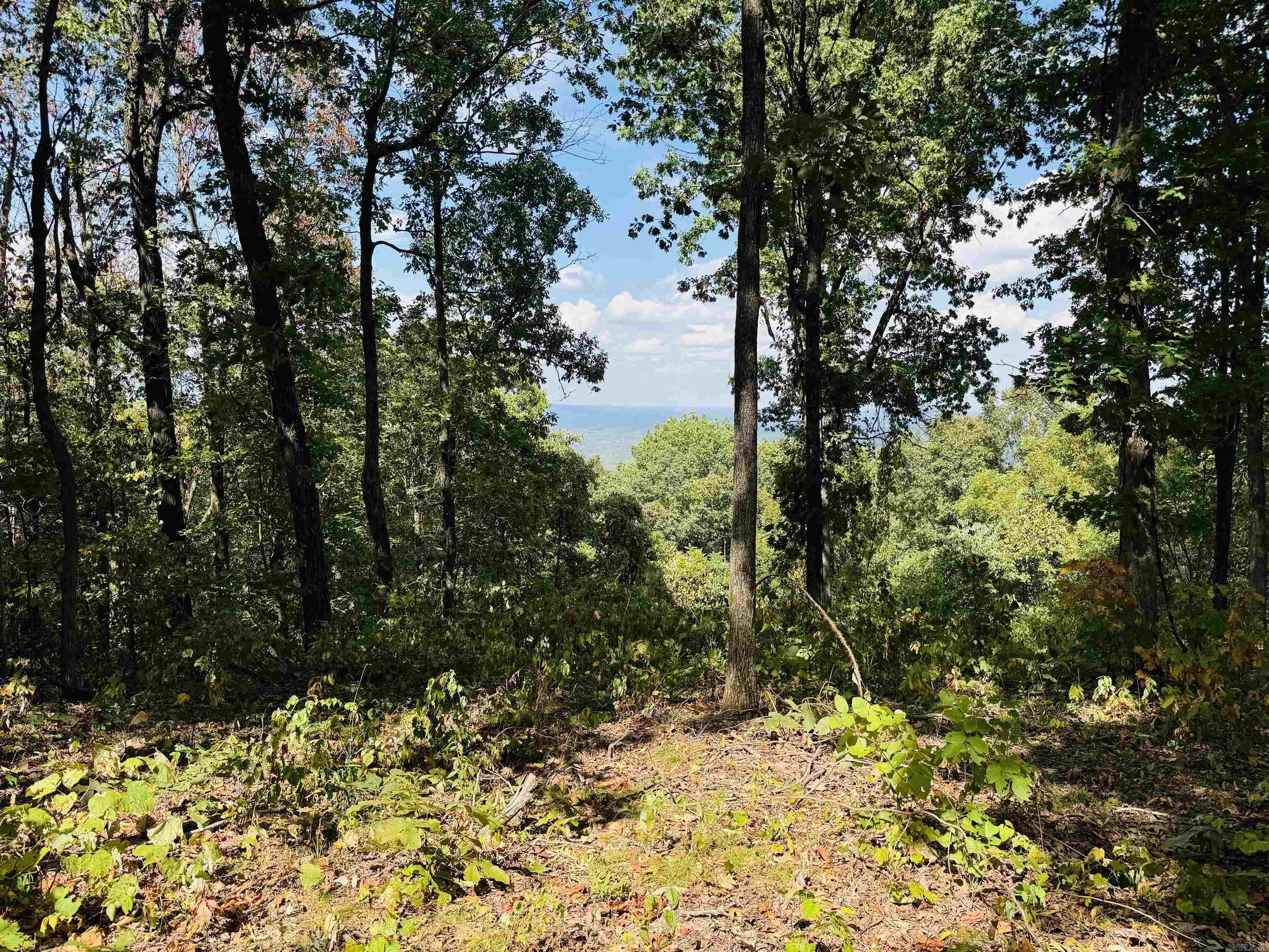 4520 Iron Mountain Road