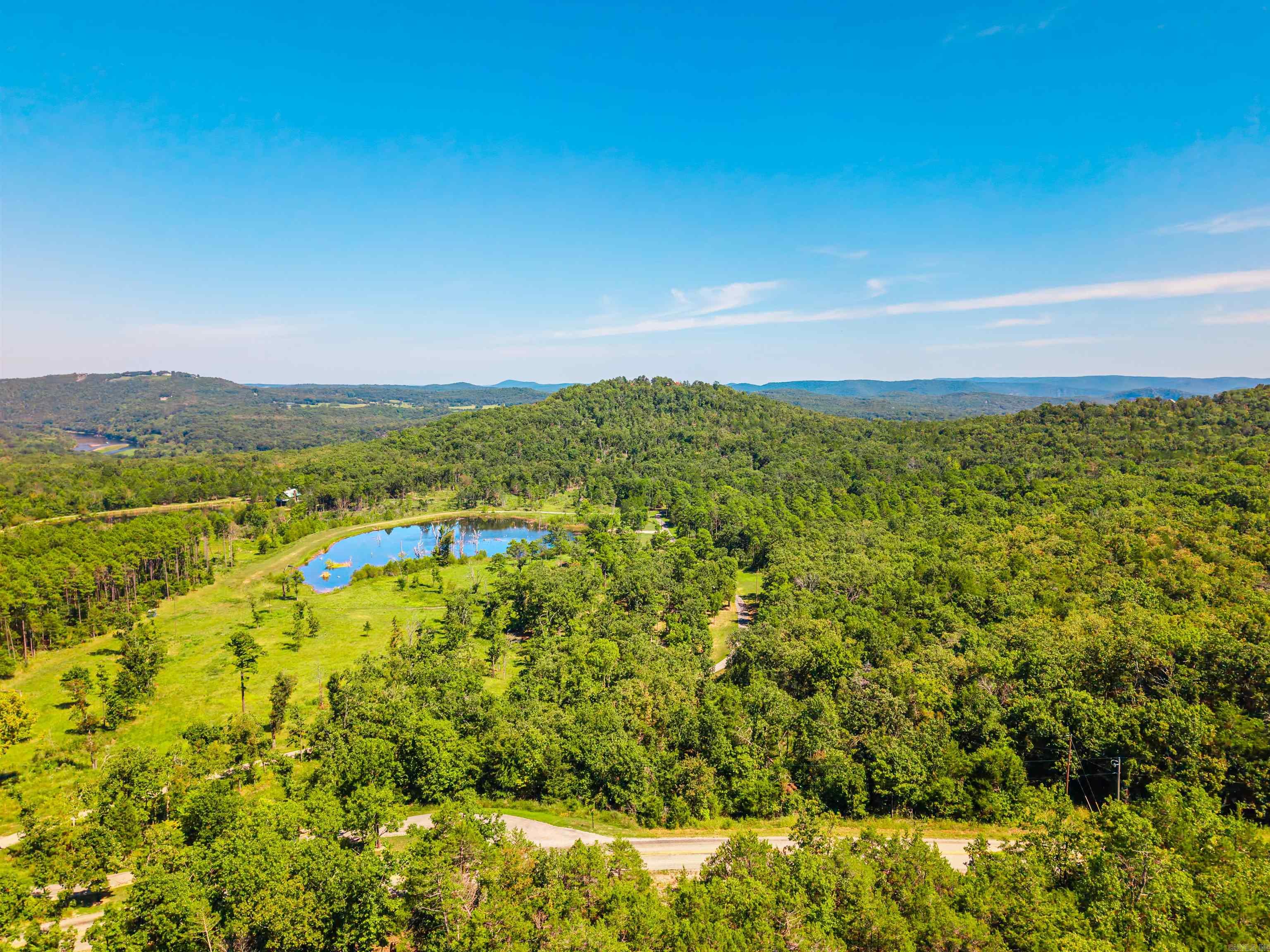 1499 Ollie Mountain Lane Flippin, AR 72634