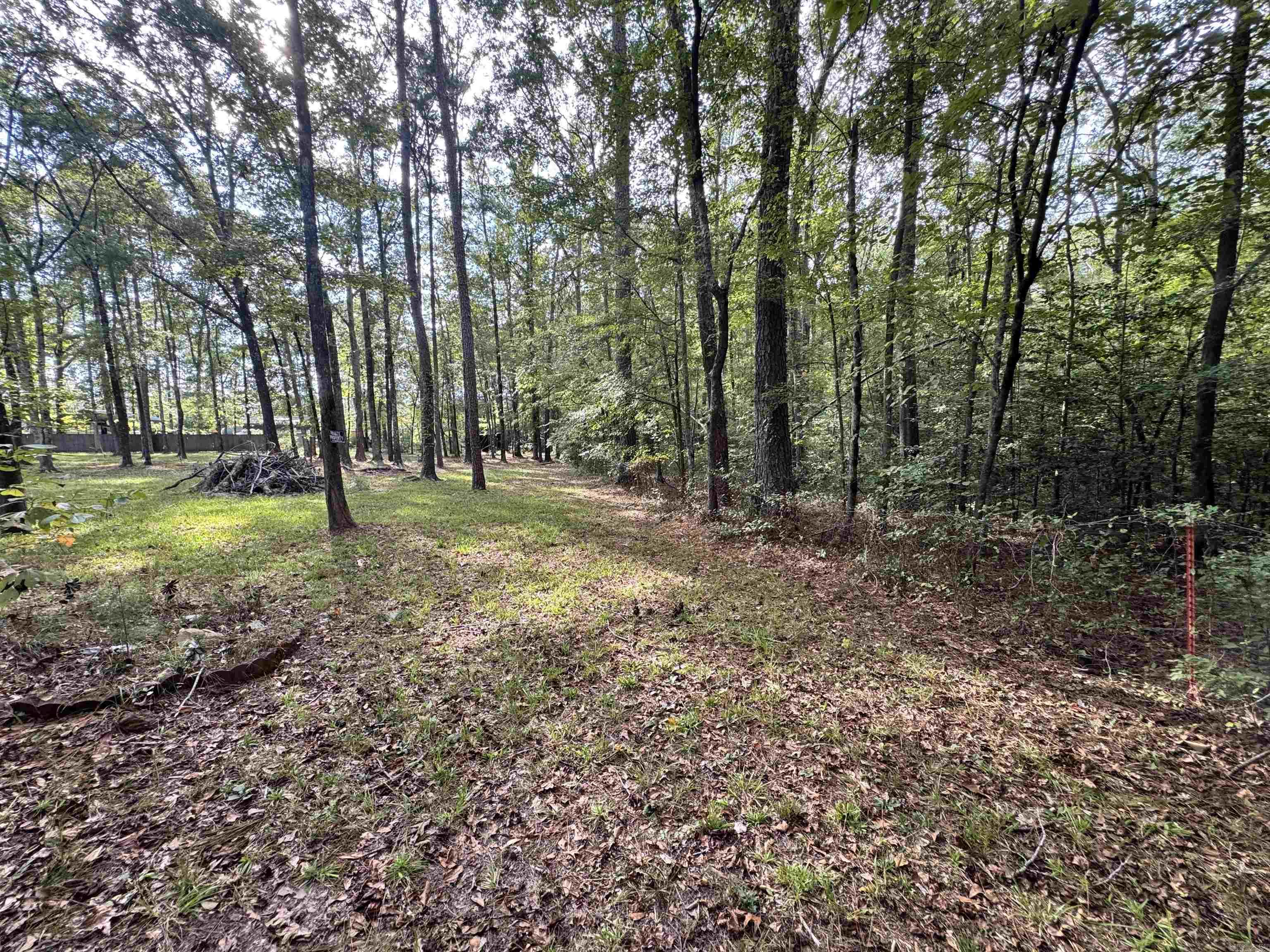 1902 Red Wagon Rd  Traskwood, AR
