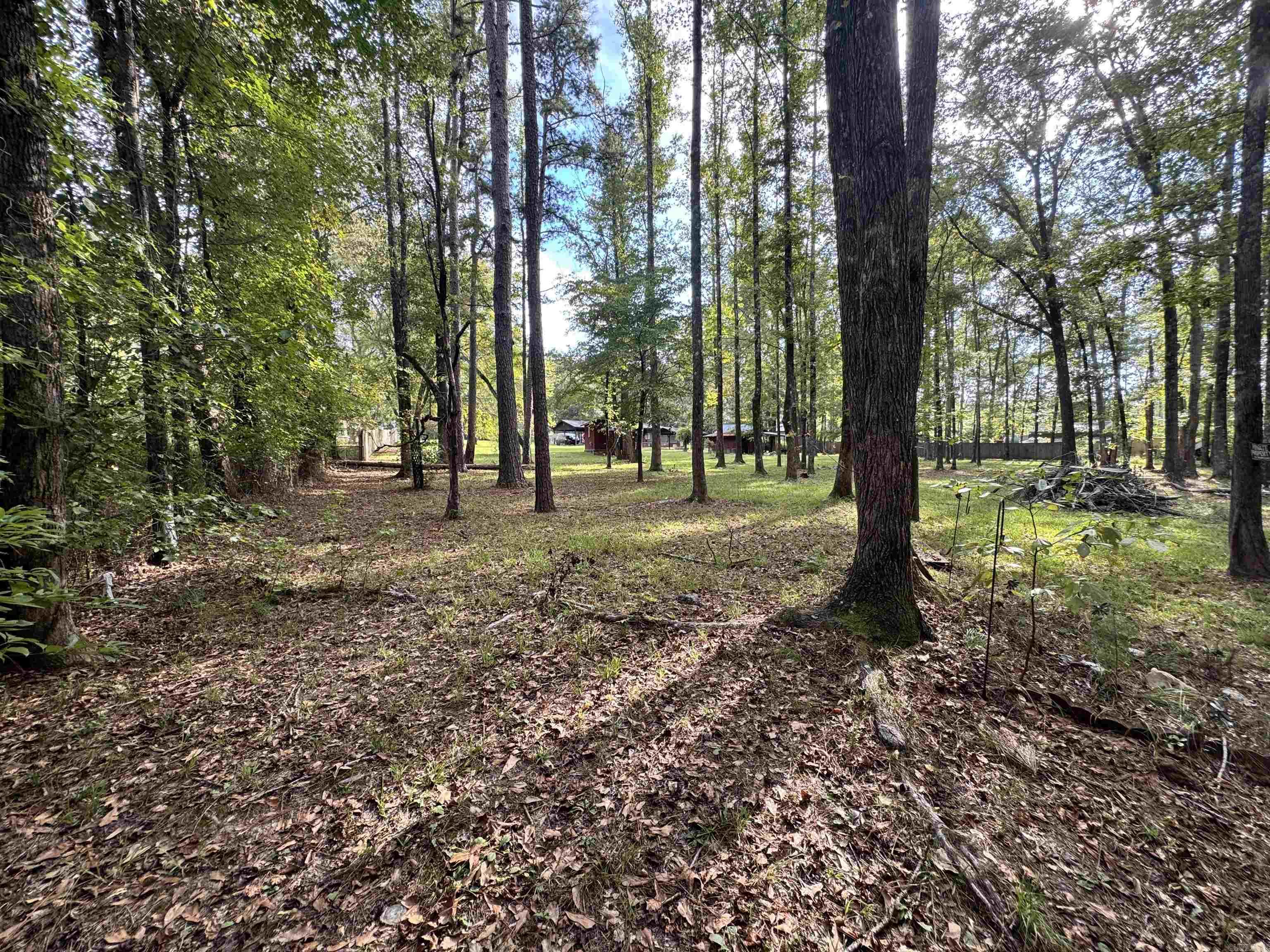 1902 Red Wagon Rd  Traskwood, AR