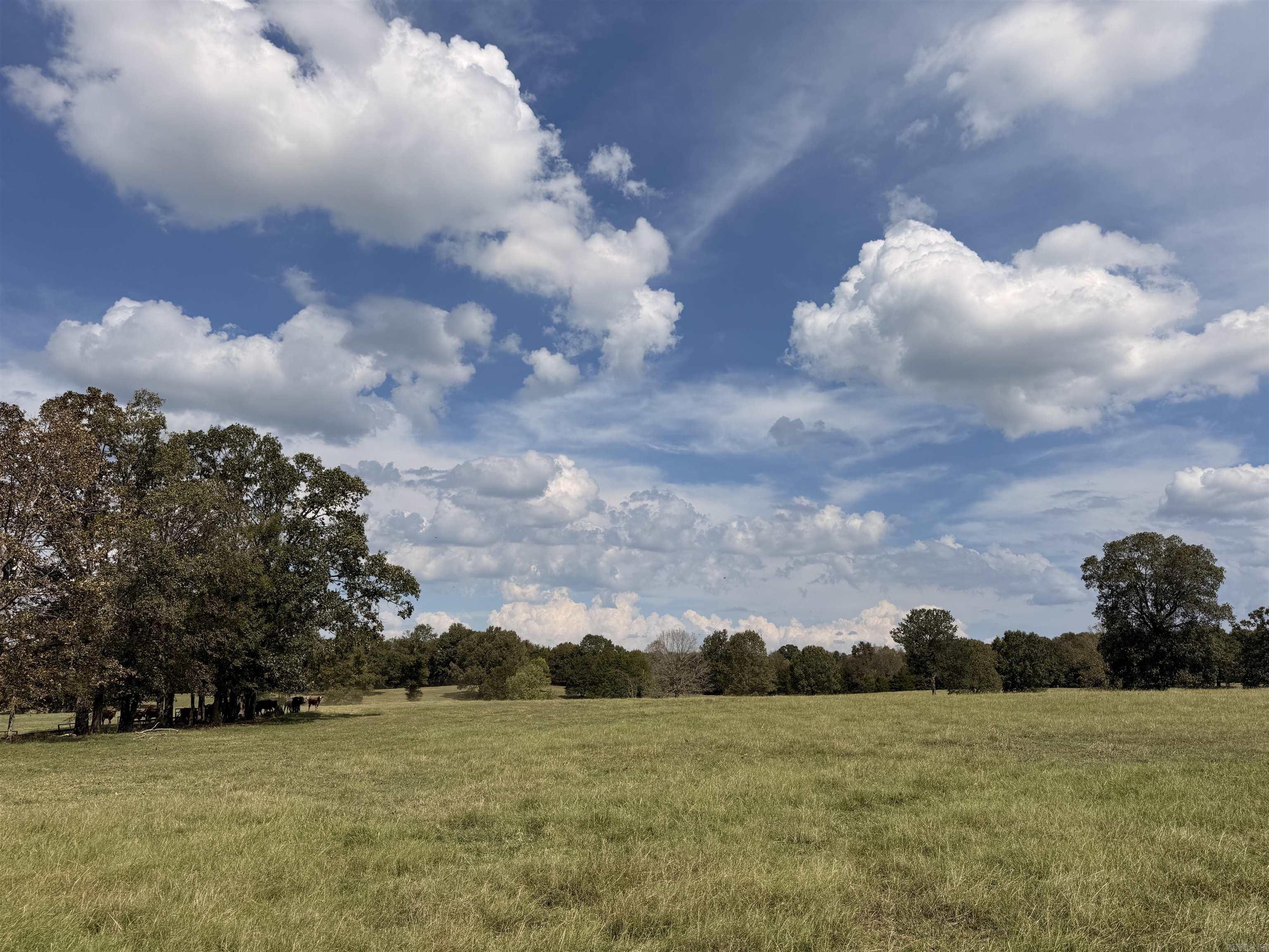 340 Harvey Jobe Romance, AR 72136