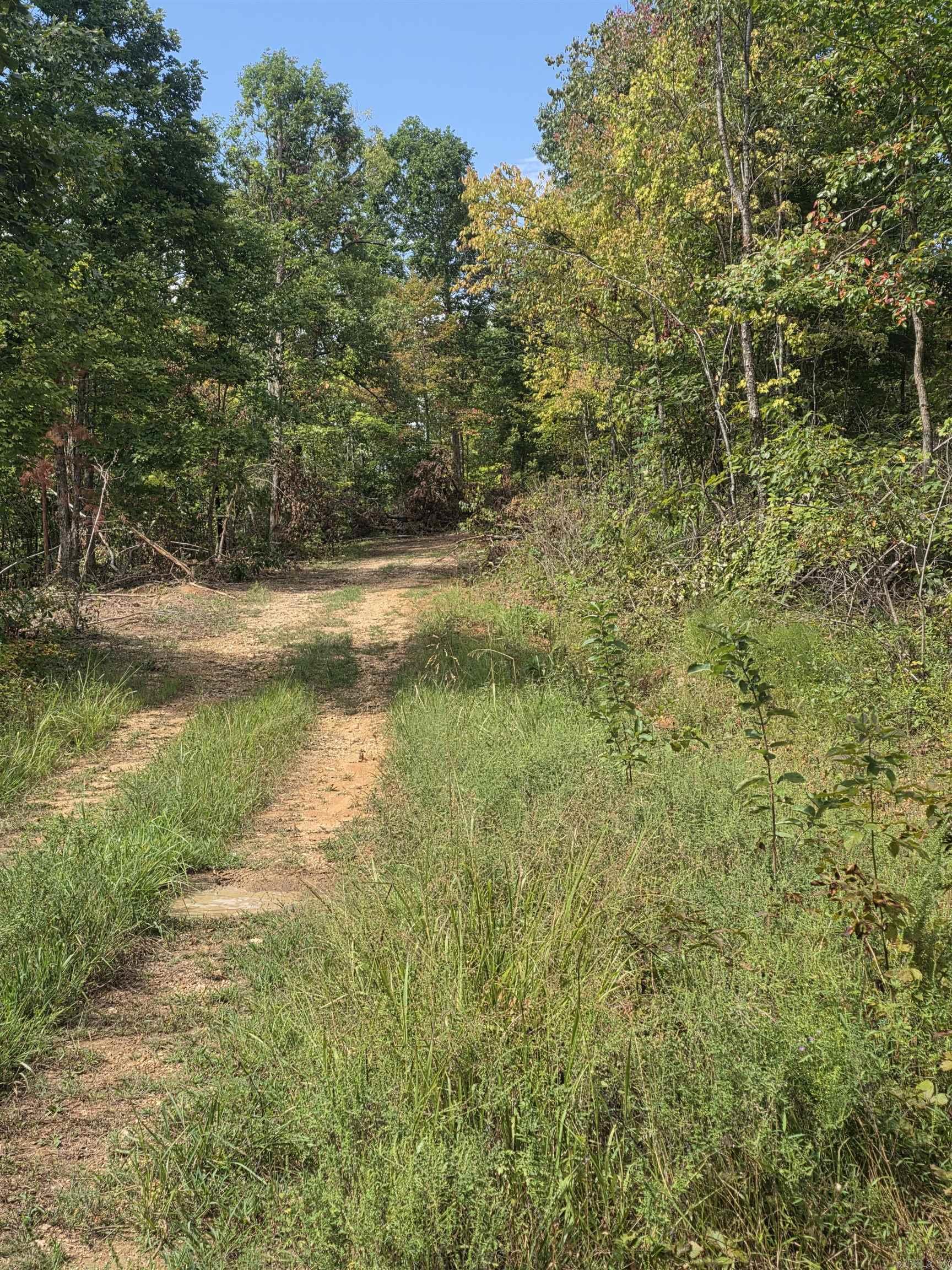 2561 Gutter RD Harriet, AR 72639