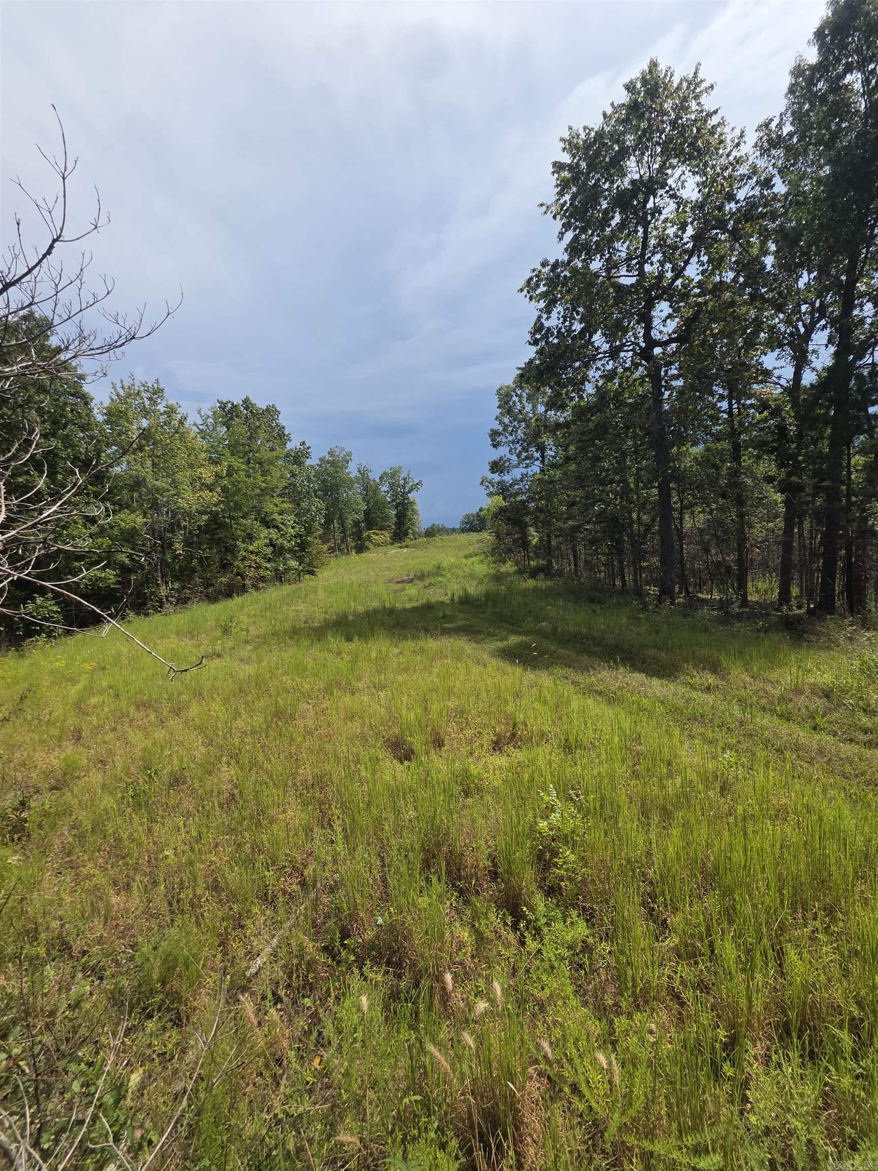 2561 Gutter RD Harriet, AR 72639
