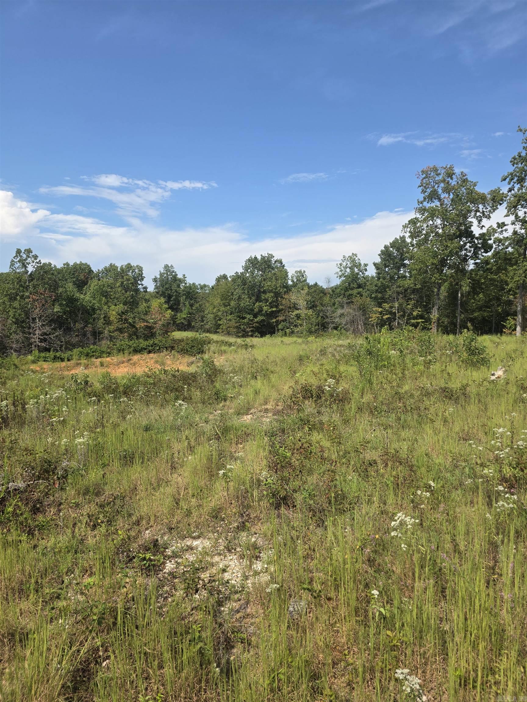 2561 Gutter RD Harriet, AR 72639