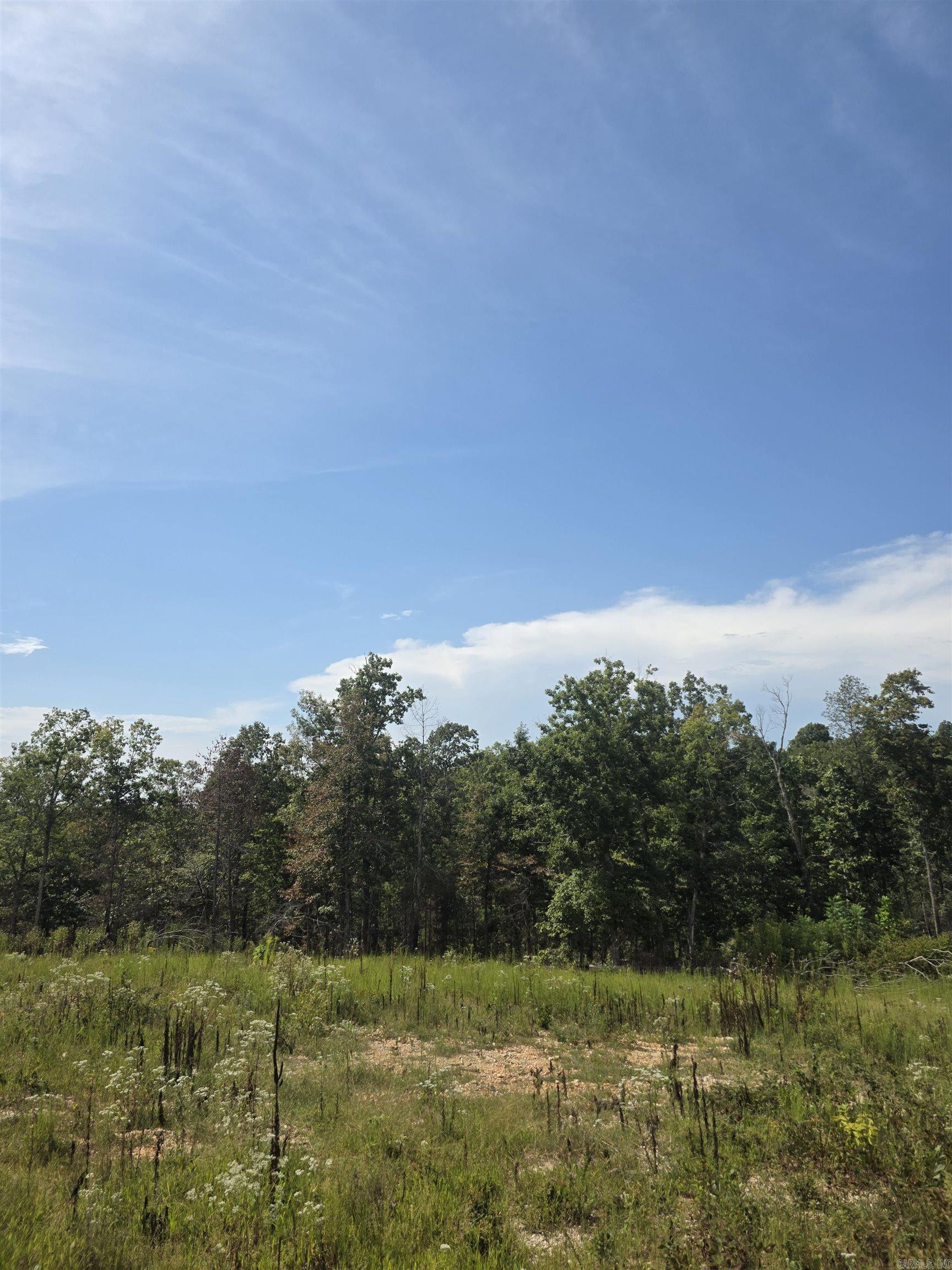 2561 Gutter RD Harriet, AR 72639