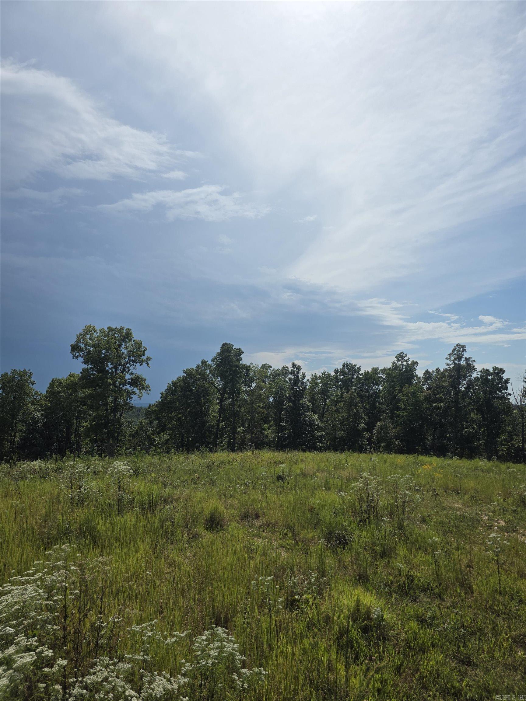2561 Gutter RD Harriet, AR 72639