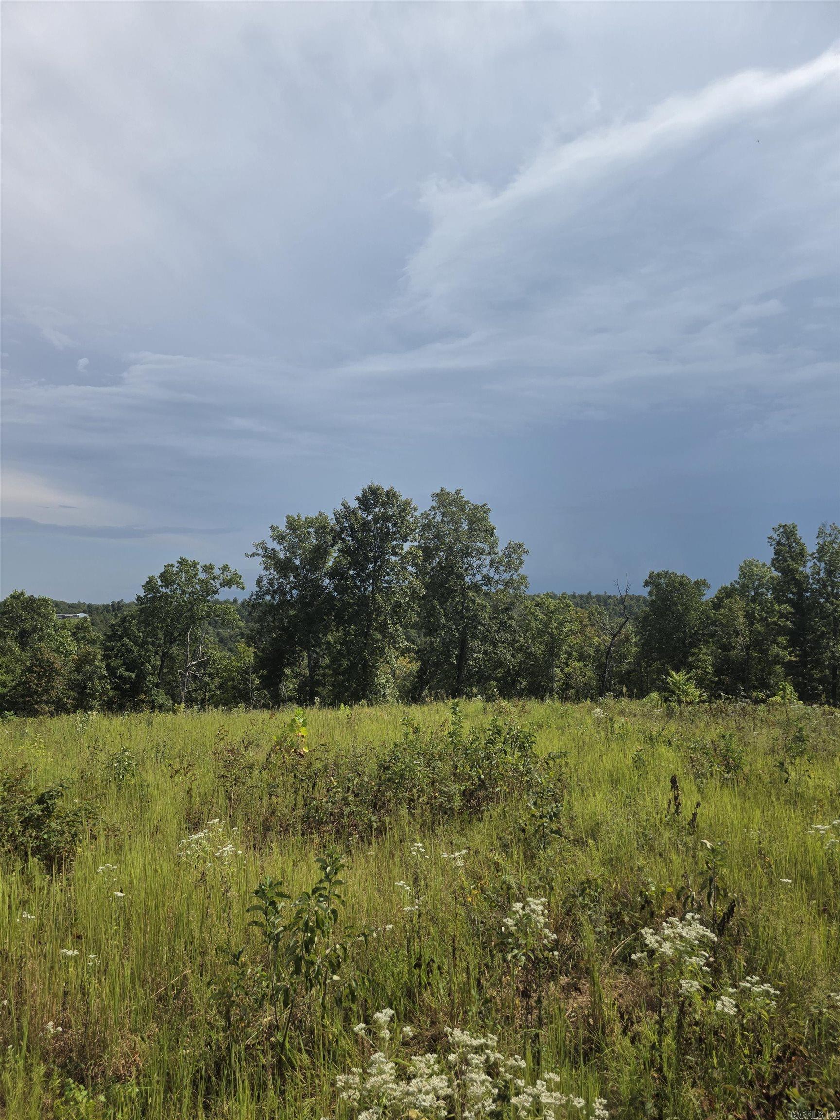 2561 Gutter RD Harriet, AR 72639
