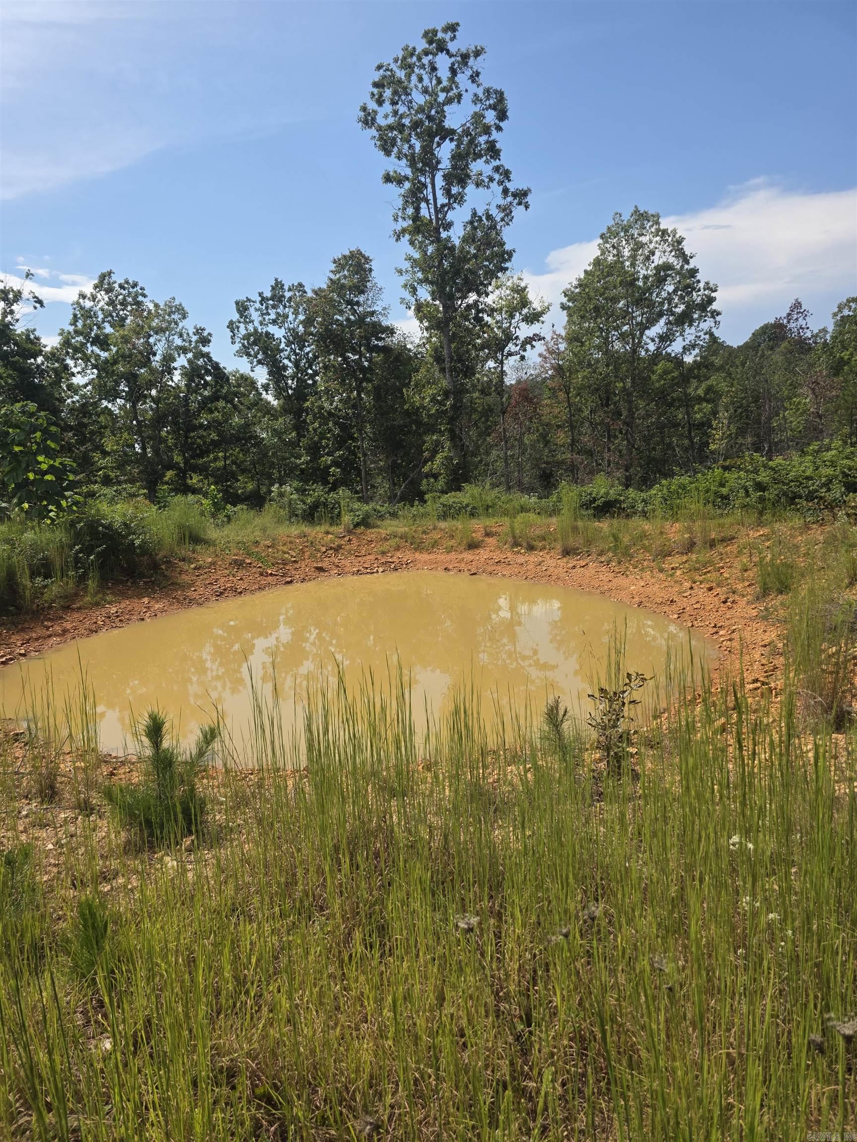2561 Gutter RD Harriet, AR 72639