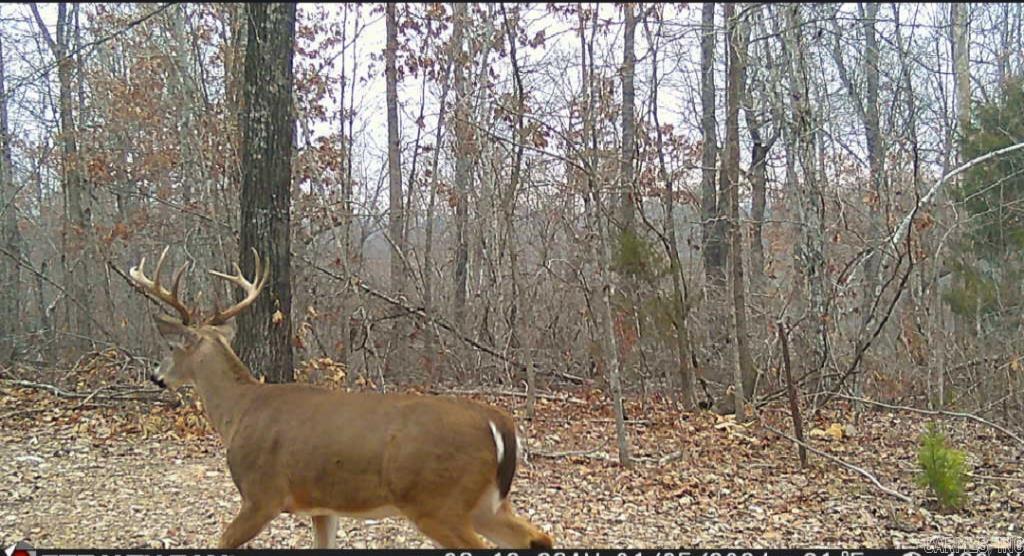 2561 Gutter RD Harriet, AR 72639