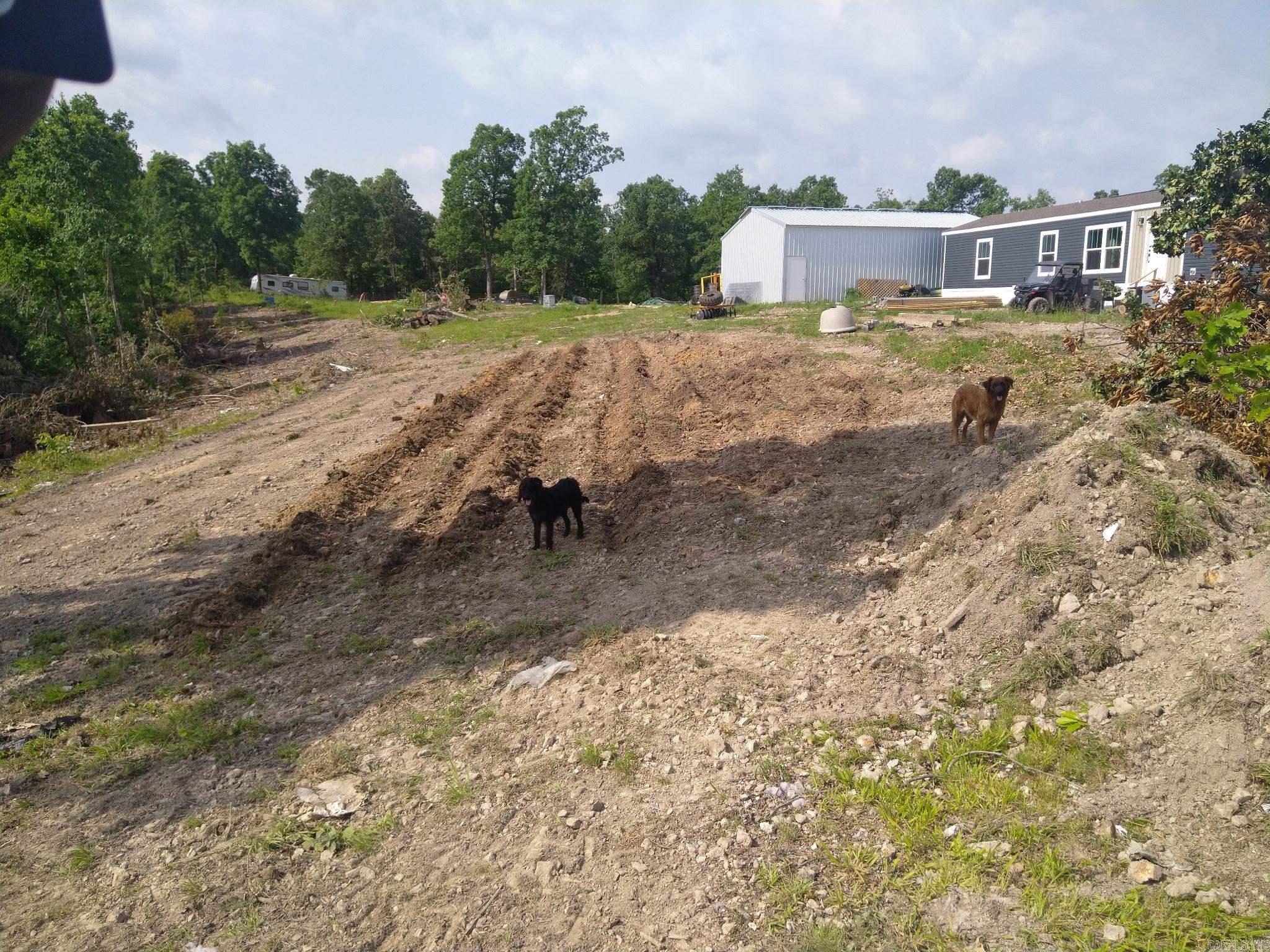 2561 Gutter RD Harriet, AR 72639