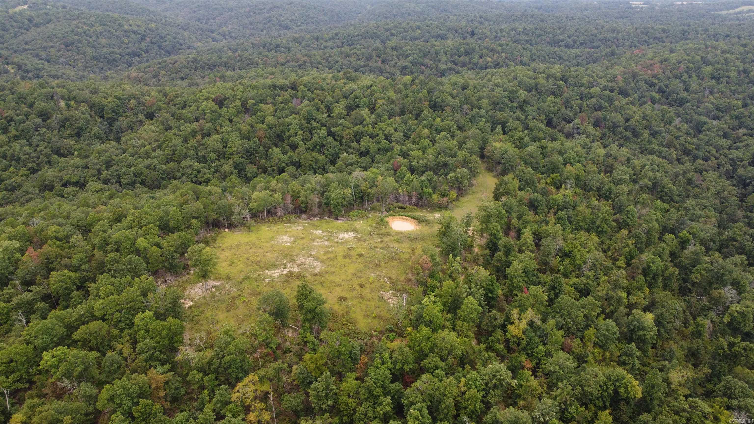 2561 Gutter RD Harriet, AR 72639