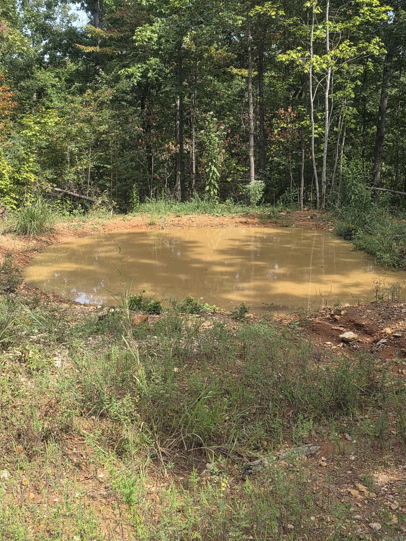 2561 Gutter RD Harriet, AR 72639