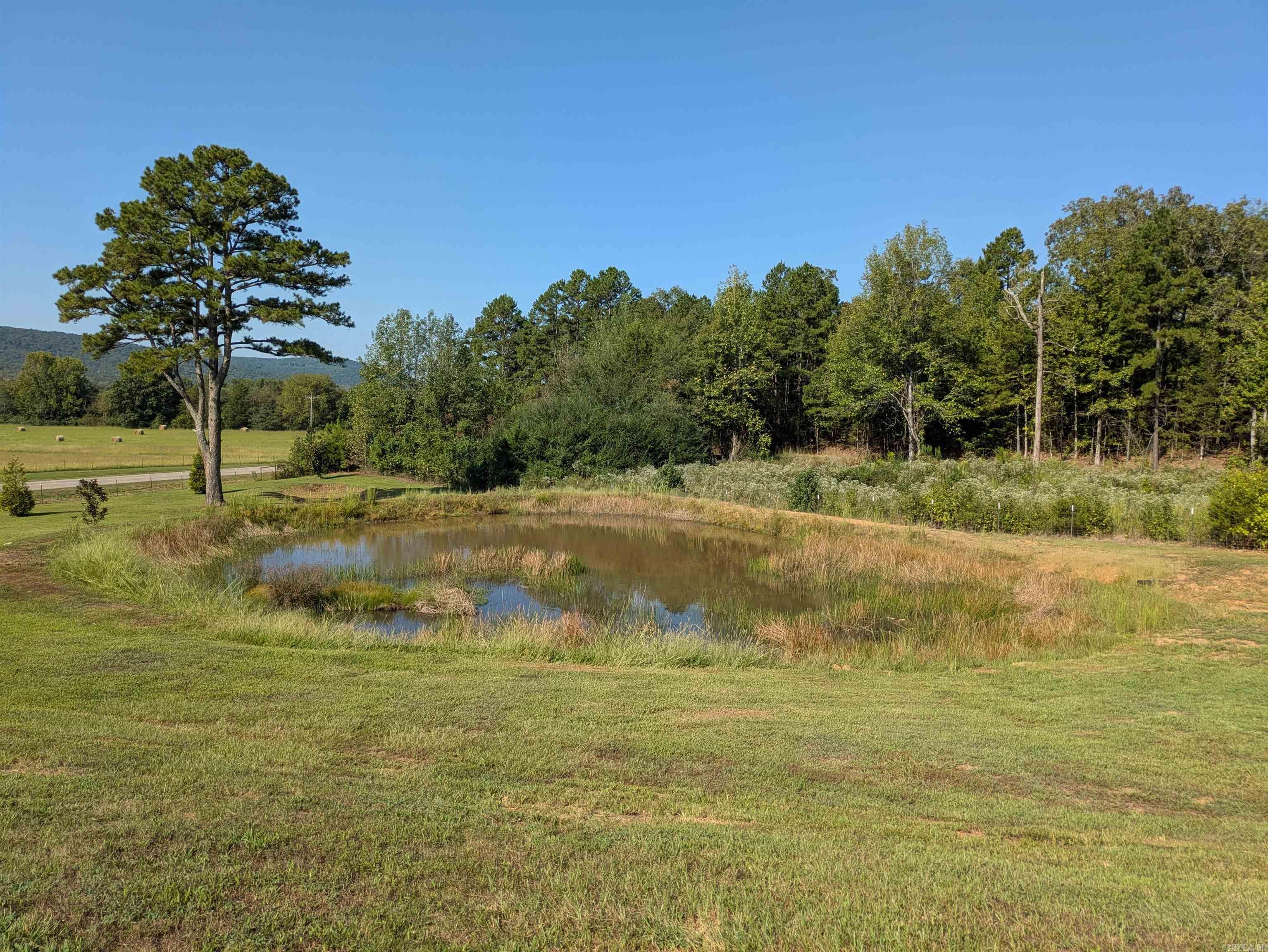 9445 County Road 5440  Ozone, AR