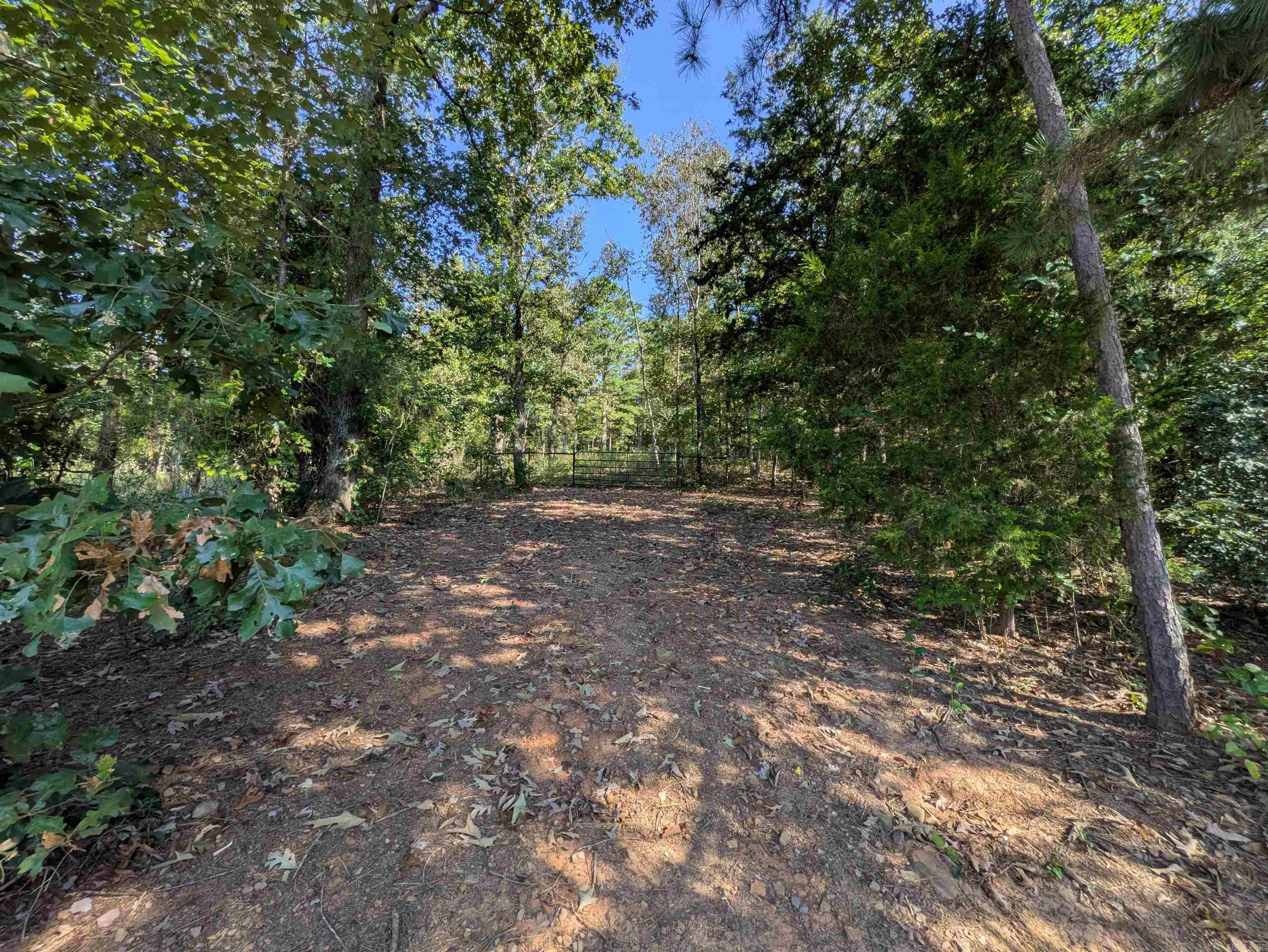 9445 County Road 5440  Ozone, AR